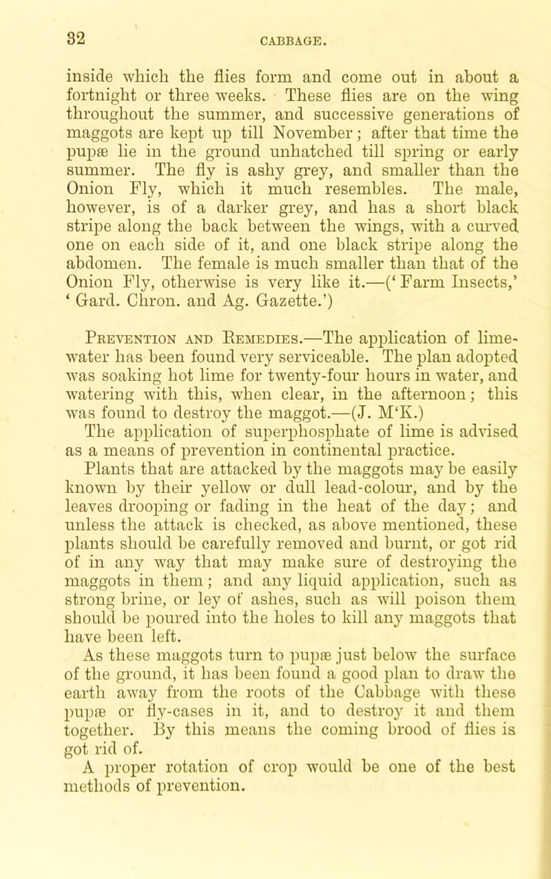 inside wliich the flies form and come out in about a fortnight or three weeks. These flies are on the wing throughout the summer, and successive generations of maggots are kept up till November; after that time the pupae lie in the ground unhatched till spring or early summer. The fly is ashy grey, and smaller than the Onion Fly, which it much resembles. The male, however, is of a darker grey, and has a short black stripe along the back between the wings, with a curved one on each side of it, and one black stripe along the abdomen. The female is much smaller than that of the Onion Fly, otherwise is very like it.—(‘ Farm Insects,’ ‘ Gard. Chron. and Ag. Gazette.’) Prevention and Eemedies.—The application of lime- water has been found very serviceable. The plan adopted was soaking hot lime for twenty-four hours in water, and watering with this, when clear, in the afternoon; this was found to destroy the maggot.—(J. M‘K.) The application of superphosphate of lime is advised as a means of prevention in continental practice. Plants that are attacked by the maggots may he easily known by their yellow or dull lead-colour, and by the leaves drooping or fading in the heat of the day; and unless the attack is checked, as above mentioned, these plants should be carefully removed and burnt, or got rid of in any way that may make sure of destro3ung the maggots in them; and any liquid application, such as strong brine, or ley of ashes, such as will poison them should be iioured into the holes to kill any maggots that have been left. As these maggots turn to pupae just below the surface of the ground, it has been found a good plan to draw the earth away from the roots of the Cabbage with these pupae or fly-cases in it, and to destro}' it and them together. By this means the coming brood of flies is got rid of. A proper rotation of crop would be one of the best methods of prevention.