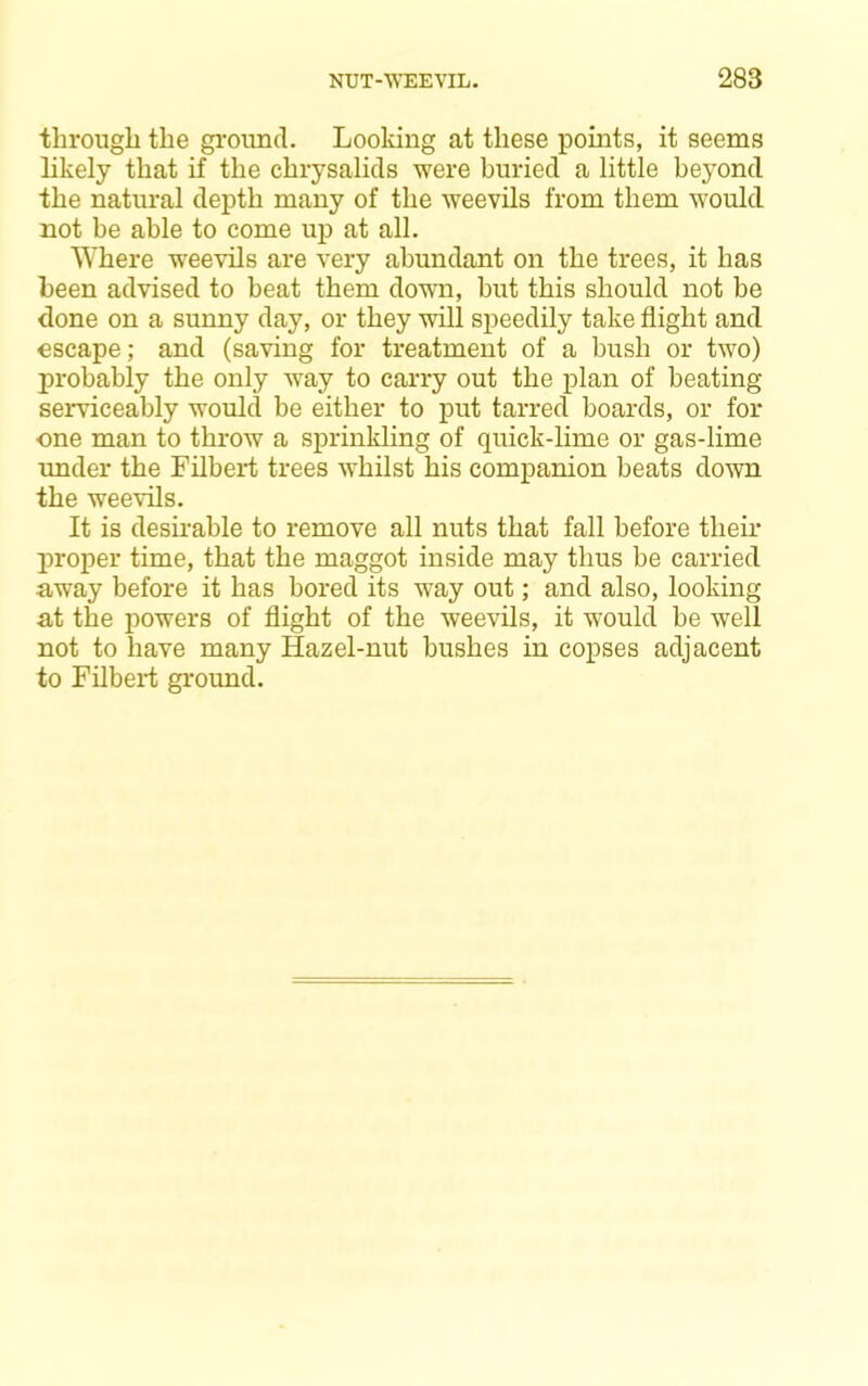 through the gi-ound. Looking at these points, it seems likely that if the chrysalids were buried a little beyond the natural depth many of the weevils from them would not be able to come up at all. Where weevils are very abundant on the trees, it has been advised to beat them down, but this should not be done on a sunny day, or they will speedily take flight and escape; and (saving for treatment of a hush or two) probably the only way to carry out the plan of beating serviceably would be either to put tarred boards, or for one man to throw a sprinkling of quick-lime or gas-lime under the Filbert trees whilst his companion beats dom the weevils. It is desii’able to remove all nuts that fall before their proper time, that the maggot inside may thus be carried away before it has bored its way out; and also, looking at the powers of flight of the weevils, it would be well not to have many Hazel-nut bushes in copses adjacent to Filbert giound.