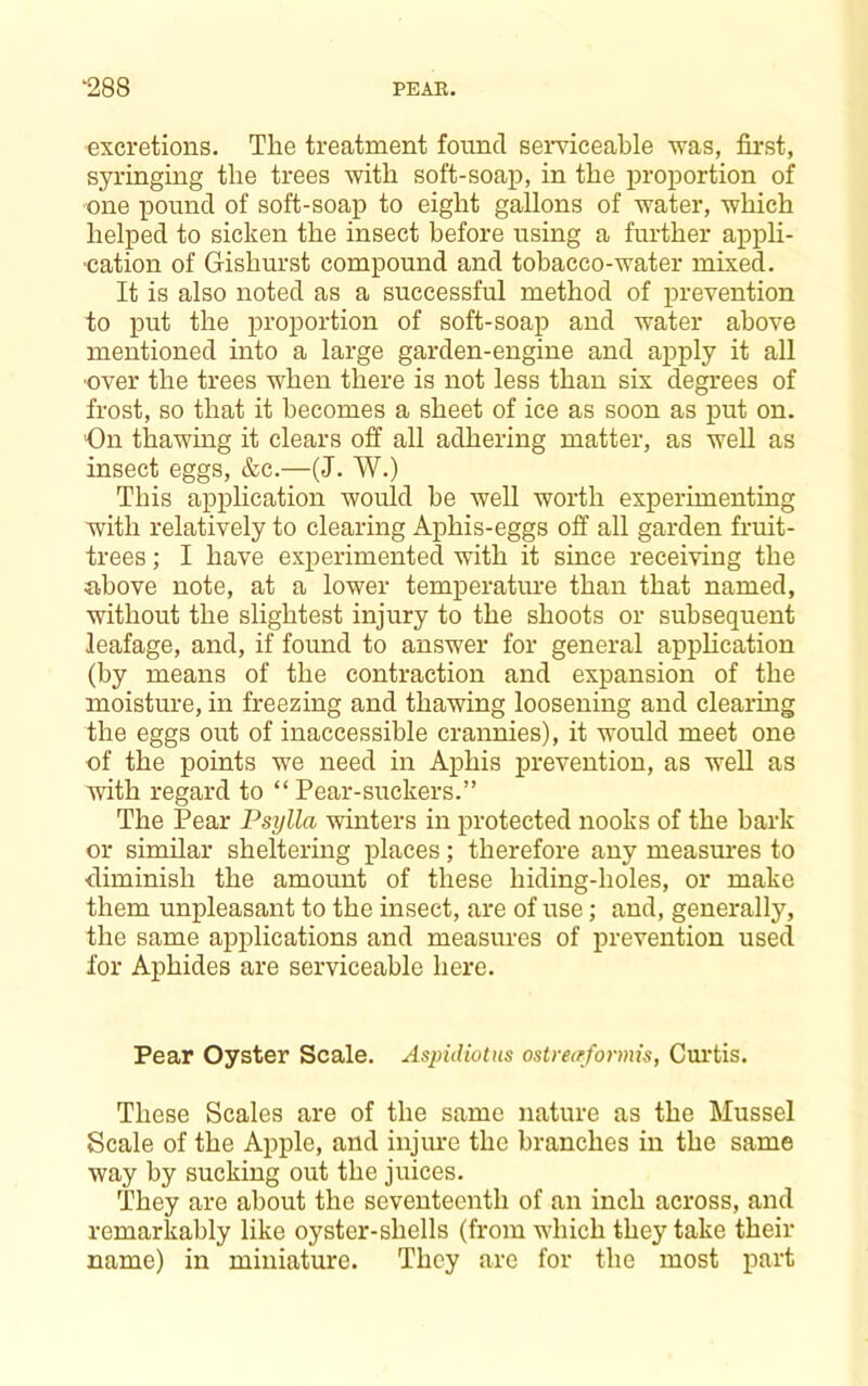 excretions. The treatment found semceahle was, first, syringing the trees with soft-soap, in the proportion of one pound of soft-soap to eight gallons of water, which helped to sicken the insect before using a further appli- 'cation of Gishurst compound and tobacco-water mixed. It is also noted as a successful method of prevention to put the proportion of soft-soap and water above mentioned into a large garden-engine and apply it all ■over the trees when there is not less than six degrees of frost, so that it becomes a sheet of ice as soon as put on. On thawing it clears off all adhering matter, as well as insect eggs, &c.—(J. W.) This application would he well worth experimenting with relatively to clearing Aphis-eggs off all garden fruit- trees ; I have experimented with it since receiving the iibove note, at a lower temperatiu-e than that named, without the slightest injury to the shoots or subsequent leafage, and, if found to answer for general apphcation (by means of the contraction and expansion of the moisture, in freezing and thawing loosening and clearing the eggs out of inaccessible crannies), it would meet one of the points we need in Aphis prevention, as well as with regard to “ Pear-suckers.” The Pear Psylla winters in protected nooks of the hark or similar sheltering places; therefore any measures to diminish the amount of these hiding-holes, or make them unpleasant to the insect, are of use; and, generally, the same applications and measures of prevention used for Aphides are serviceable here. Pear Oyster Scale. Asjndiotus osUwfonnis, Cmdis. These Scales are of the same nature as the Mussel Scale of the Apple, and injure the branches in the same way by sucking out the juices. They are about the seventeenth of an inch across, and remarkably like oyster-shells (from which they take their name) in miniature. They are for the most part