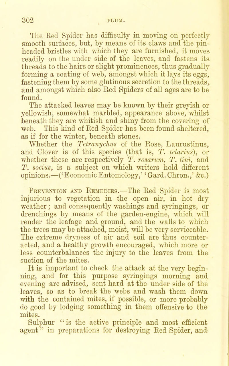 The Bed Spider has difficulty in moving on perfectly smooth surfaces, but, by means of its claws and the pin- headed bristles with which they are furnished, it moves readily on the under side of the leaves, and fastens its threads to the hairs or slight prominences, thus gradually forming a coating of web, amongst which it lays its eggs, fastening them by some glutinous secretion to the threads, and amongst which also Bed Spiders of all ages are to be found. The attacked leaves may be known by their greyish or yellowish, somewhat marbled, appearance above, whilst beneath they are whitish and shiny from the covering of web. This kind of Bed Spider has been found sheltered, as if for the winter, beneath stones. Whether the Tetranychns of the Bose, Laurustinus, and Clover is of this species (that is, T. telarius), or whether these are respectively T. rosarum, T. tini, and T. socius, is a subject on which writers hold different opinions.—(‘EconomicEntomology,’ ‘Gard.Chron.,’ &c.) Prevention and Bemedies.—The Bed Spider is most injurious to vegetation in the open ah’, in hot ch’y weather; and consequent!}’’ washings and S3’’ringings, or drenchings by means of the garden-engine, which will render the leafage and ground, and the walls to which the trees may be attached, moist, will be very serviceable. The extreme dr}’ness of air and soil are thus counter- acted, and a healthy growth encouraged, which more or less counterbalances the injury to the leaves from the suction of the mites. It is important to check the attack at the very begin- ning, and for this pm-pose syringings morning and evening are advised, sent hard at the under side of the leaves, so as to break the webs and wash them down with the contained mites, if possible, or more jirobably do good by lodging something in them offensive to the mites. Sulphiu’ “is the active principle and most efficient agent ” in preparations for destroying Bed Spider, and
