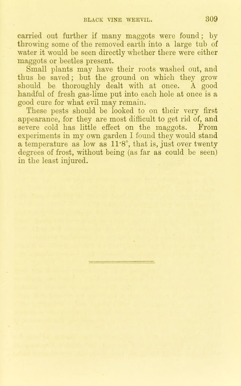 carried out further if many maggots were found; by throwing some of the removed earth into a large tub of water it would be seen directly whether there were either maggots or beetles present. Small plants may have their roots washed out, and thus be saved; but the ground on which they grow should be thoroughly dealt with at once. A good handful of fresh gas-lime put into each hole at once is a good cm*e for what evil may remain. These pests should be looked to on their very first appearance, for they are most difiicult to get rid of, and severe cold has little effect on the maggots. From experiments in my own garden I found they would stand a temperature as low as 11*8°, that is, just over twenty degrees of frost, without being (as far as could be seen) in the least injured.