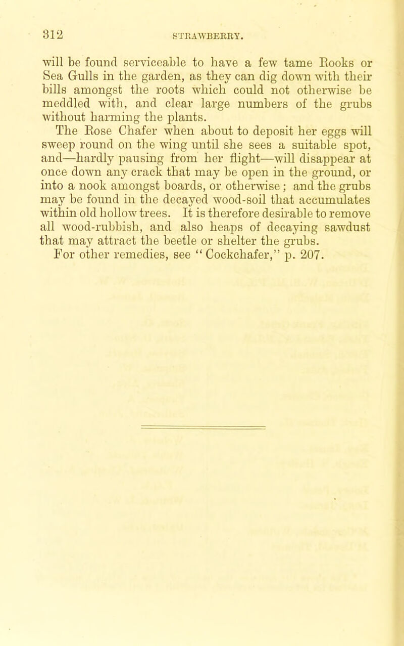 will be found serviceable to have a few tame Eooks or Sea Gulls in the garden, as they can dig down with them bills amongst the roots which could not otherwise be meddled with, and clear large numbers of the grubs without harming the plants. The Eose Chafer when about to deposit her eggs will sweep round on the wing until she sees a suitable sjDot, and—hardly pausing from her flight—will disappear at once down any crack that may be open in the ground, or into a nook amongst boards, or otherwise; and the grubs may be found in the decayed wood-soil that accumulates within old hollow trees. It is therefore desmable to remove all wood-rubbish, and also heaps of decaying sawdust that may attract the beetle or shelter the grubs. For other remedies, see “ Cockchafer,” p. 207.