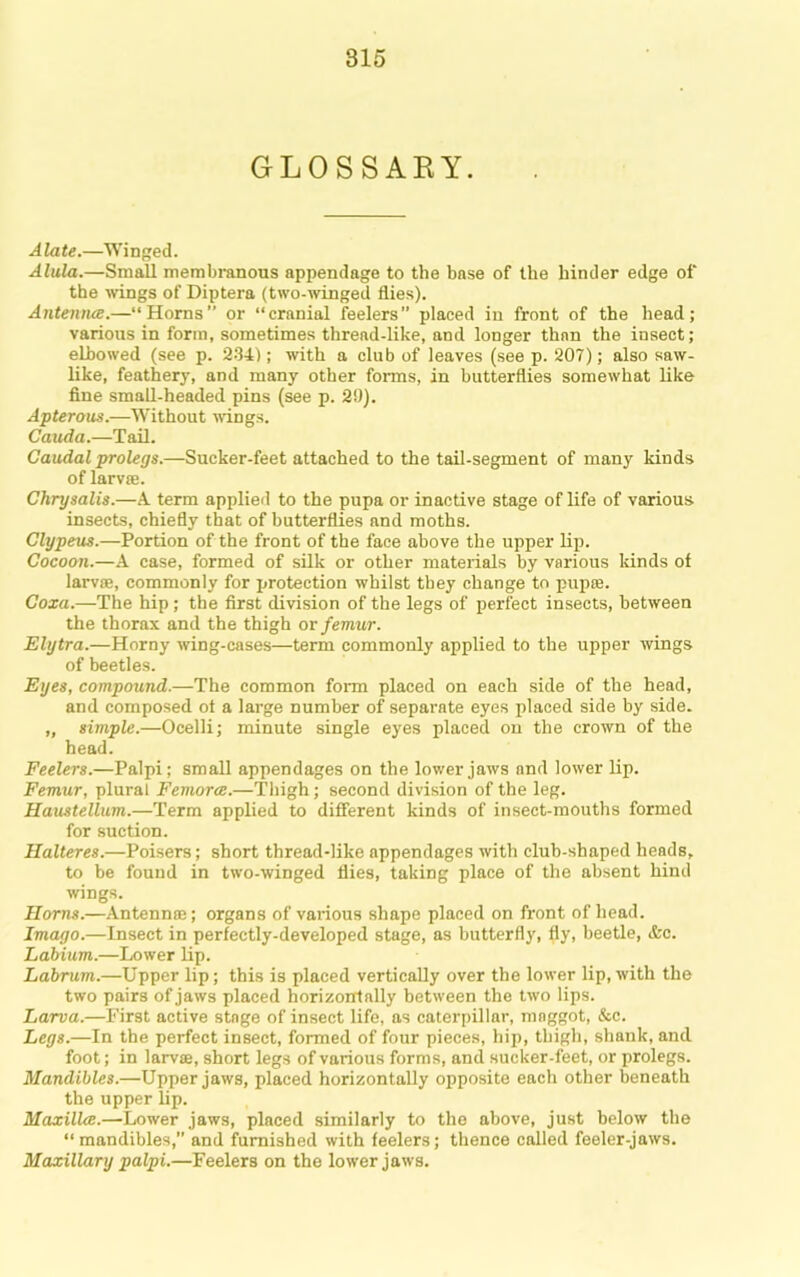 GLOSSAEY. Alate.—Winged. Alula.—Small membranous appendage to the base of the hinder edge of the wings of Diptera (two-winged flies). Anteniue.—“Horns” or “cranial feelers” placed in front of the head; various in form, sometimes thread-like, and longer than the insect; elbowed (see p. 234); with a club of leaves (see p. 207); also saw- like, feathery, and many other forms, in butterflies somewhat like fine smaU-headed pins (see p. 29). Apterous.—Without wngs. Cauda.—Tail. Caudal prolegs.—Sucker-feet attached to the tail-segment of many kinds of larvae. Chrysalis.—A term applied to the pupa or inactive stage of life of various insects, chiefly that of butterflies and moths. Clypeus.—Portion of the front of the face above the upper Up. Cocoon.—A case, formed of silk or other materials by various kinds of larv®, commonly for protection whilst they change to pupae. Coxa.—The hip; the first division of the legs of perfect insects, between the thorax and the thigh or femur. Elytra.—Horny wing-cases—term commonly applied to the upper wings of beetles. Eyes, compound.—The common form placed on each side of the head, and composed of a large number of separate eyes placed side by side. „ simple.—Ocelli; minute single eyes placed on the crown of the head. Feelers.—Palpi; small appendages on the lower jaws and lower Up. Femur, plural Femora.—Thigh; second division of the leg. Haustellum.—Term applied to different kinds of insect-mouths formed for suction. Ilalteres.—Poisers; short thread-like appendages with club-shaped heads, to be found in two-winged flies, taking place of the absent hind wings. Horns.—Antennae; organs of various shape placed on front of head. Imago.—Insect in perfectly-developed stage, as butterfly, fly, beetle, &c. Labium.—Lower Up. Labrum.—Upper Up; this is placed verticaUy over the lower Up, with the two pairs of jaws placed horizontally between the two lips. Larva.—First active stage of insect life, as caterpillar, maggot, &c. Legs.—In the perfect insect, formed of four pieces, hip, thigh, shank, and foot; in larvae, short legs of various forms, and sucker-feet, or prolegs. Mandibles.—Upper jaws, placed horizontally opposite each other heneath the upper Up. Maxilla.—Lower jaws, placed similarly to the above, just below the “ mandibles,” and furnished with feelers; thence called feeler-jaws. Maxillary palpi.—Feelers on the lower jaws.