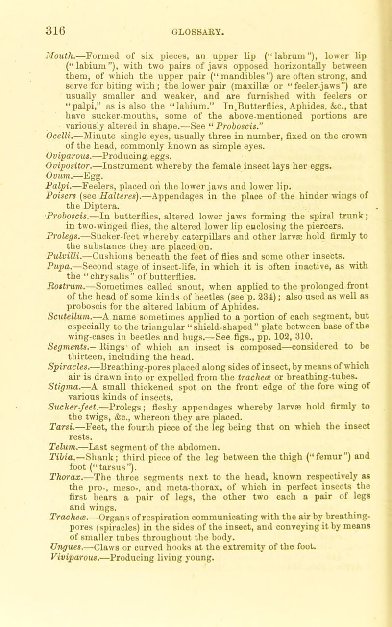 Mouth.—Formed of six pieces, an upper lip (“ labrum ”), lower lip (“labium”), with two pairs of jaws opposed horizontally between them, of which the upper pair (“mandibles) are often strong, and serve for biting with; the lower pair (maxillse or “feeler-jaws”) are usually smaller and weaker, and are furnished with feelers or “palpi, as is also the “labium.” In.Butterflies, Aphides, &c., that have sucker-mouths, some of the above-mentioned portions are variously altered in shape.—See “ Proboscis. Ocelli.—Minute single eyes, usually three in number, fixed on the crown of the head, commonly known as simple eyes. Oviparous.—Producing, eggs. Ovipositor.—Instrument whereby the female insect lays her eggs. Ovum.—Egg. Palpi.—Feelers, placed oh the lower jaws and lower lip. Poisers (see Halteres).—Appendages in the place of the hinder wings of the Diptera. ■Proboscis.—In butterflies, altered lower jaws forming the spiral trunk; in two-winged flies, the altered lower lip enclosing the piercers. Prolegs.—Sucker-feet whereby caterpillars and other larvae hold firmly to the substance they are placed on. Pulvilli.—Cushions beneath the feet of flies and some other insects. Pupa.—Second stage of insect-life, in which it is often inactive, as with the “chrysalis” of butterflies. Rostrum.—Sometimes called snout, when applied to the prolonged front of the head of some kinds of beetles (see p. 23-i); also used as well as proboscis for the altered labium of Aphides. Scutellum.—A name sometimes applied to a portion of each segment, but especially to the triangular “ shield-shaped ” plate between base of the wing-cases in beetles and bugs.—See figs., pp. 102, 310. Segments.— Rings' of which an insect is composed—considered to be thirteen, including the head. Spiracles.—Breathing-pores placed along sides of insect, by means of which air is drawn into or expelled from the trachece or breathing-tubes. Stigma.—A small thickened spot on the front edge of the fore wing of various kinds of insects. Slicker-feet.—Prolegs; fleshy appendages whereby larvae hold firmly to the twigs, &c., whereon they ai'e placed. Tarsi.—Feet, the fourth piece of the leg being that on which the insect rests. Telum.—Last segment of the abdomen. Tibia.—Shank; third piece of the leg between the thigh (“femur”) and foot (“tarsus”). Thorax.—The three segments next to the head, known respectively as the pro-, meso-, and meta-thorax, of which in perfect insects the first bears a pair of legs, the other two each a pair of legs and wings. Trachea:.—Organs of respiration communicating with the air by breathing- pores (spiracles) in the sides of the insect, and conveying it by means of smaller tubes throughout the body. Ungues.—Claws or curved liooks at the extremity of the foot. Viviparous.—Producing living young.