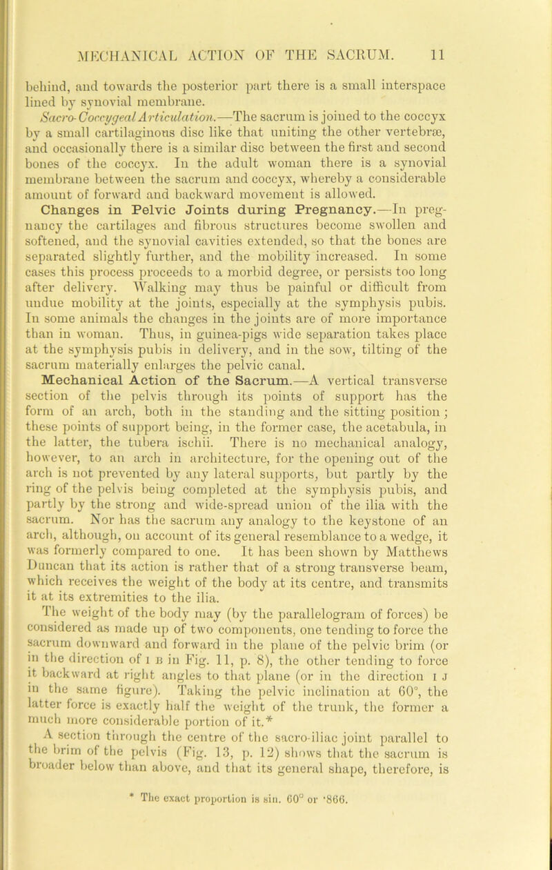 behind, and towards the posterior part there is a small interspace lined hj synovial membrane. Sacro-CorcygealArticulation.—The sacrum is joined to the coccyx by a small cartilaginous disc like that uniting the other vertebrae, and occasionally there is a similar disc between the first and second bones of the coccyx. In the adult woman there is a synovial membrane between the sacrum and coccyx, whereby a considerable amount of forward and backward movement is allowed. Changes in Pelvic Joints during Pregnancy.—In preg- nancy the cartilages and fibrous structures become swollen and softened, and the synovial cavities extended, so that the bones are separated slightly further, and the mobility increased. In some cases this process proceeds to a morbid degree, or persists too long after delivery. Walking may thus be painful or difficult from undue mobility at the joints, especially at the symphysis pubis. In some animals the changes in the joints are of more importance than in woman. Thus, in guinea-pigs wide separation takes place at the symphysis pubis in delivery, and in the sow, tilting of the sacrum materially enlarges the pelvic canal. Mechanical Action of the Sacrum.—A vertical transverse section of the pelvis through its points of support has the form of an arch, both in the standing and the sitting position; these points of support being, in the former case, the acetabula, in the latter, the tubera ischii. There is no mechanical analogj’^, however, to an arch in architecture, for the opening out of the arch is not prevented by any lateral supports, but partly by the ring of the pelvis being completed at the symphysis pubis, and partly by the strong and wide-spread union of the ilia with the sacrum. Nor has the sacrum any analogy to the keystone of an arch, although, on account of its general resemblance to a wedge, it was formerly compared to one. It has been shown by Matthews Duncan that its action is rather that of a strong transverse beam, which receives the weight of the body at its centre, and transmits it at its extremities to the ilia. The weight of the body may (by the parallelogram of forces) be considered as made up of two components, one tending to force the sacrum downward and forward in the plane of the pelvic brim (or in the direction of i n in Fig. 11, p. 8), the other tending to force it backward at riglit angles to that plane (or in the direction i J in the same figure). Taking the pelvic inclination at G0°, the latter force is exactly half the weight of the trunk, the former a much more considerable portion of it.* A section through the centre of the sacro iliac joint parallel to the brim of the pelvis (F'ig. 13, p. 12) shows that the sacrum is broader below than above, and that its general shape, therefore, is * Tlie exact proportion is sin. 00° or 'SOO.