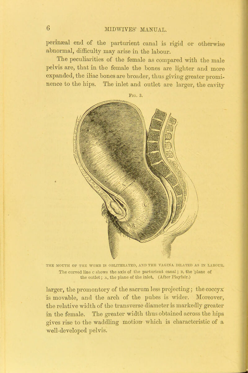 perinaeal end of the parturient canal is rigid or otherwise abnormal, difficulty may arise in the labour. The peculiarities of the female as compared with the male pelvis are, that in the female the hones are lighter and more expanded, the iliac bones are broader, thus giving greater promi- nence to the hips. The inlet and outlet are larger, the cavity Fig. 3. THE MOUTH OF THE WOMB IS OBLITERATED, AND THE VAGINA DILATED AS IN LABOUR. The curved line c shows the axis of the parturient canal; b, the 'plane of the outlet; A, the plane of the inlet. (After Playfair.) larger, the promontory of the sacrum less projecting; the coccyx is movable, and the arch of the pubes is wider. Moreover, the relative width of the transverse diameter is markedly greater in the female. The greater width thus obtained aci’oss the hips gives rise to the waddling motion which is characteristic of a well-developed pelvis.