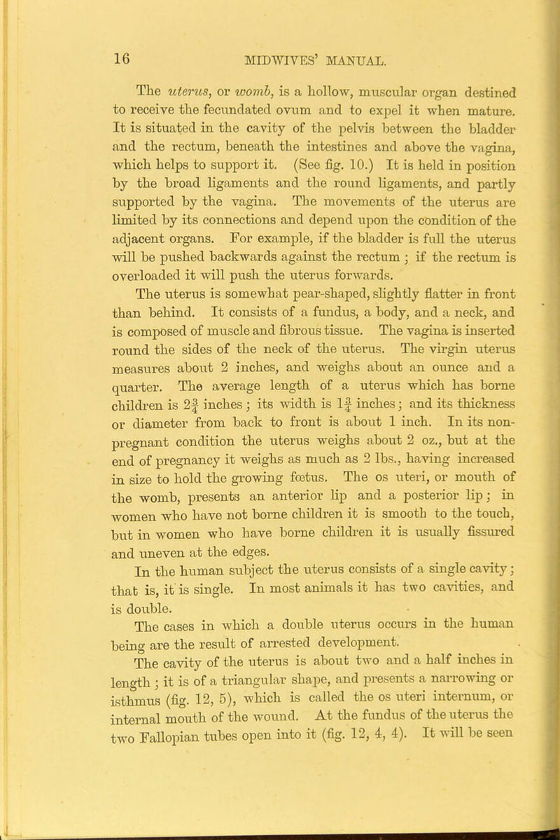 The uterus, or womb, is a hollow, muscular organ destined to receive the fecundated ovum and to expel it when mature. It is situated in the cavity of the pelvis between the bladder and the rectum, beneath the intestines and above the vagina, which helps to support it. (See fig. 10.) It is held in position by the broad ligaments and the round ligaments, and partly supported by the vagina. The movements of the uterus are limited by its connections and depend upon the condition of the adjacent organs. For example, if the bladder is full the uterus will be pushed backwards against the rectum ; if the rectum is overloaded it will push the uterus forwards. The uterus is somewhat pear-shaped, slightly flatter in front than behind. It consists of a fundus, a body, and a neck, and is composed of muscle and fibrous tissue. The vagina is inserted round the sides of the neck of the uterus. The virgin uterus measures about 2 inches, and weighs about an ounce and a quarter. The average length of a uterus which has borne children is 2f inches; its width is If inches; and its thickness or diameter from back to front is about 1 inch. In its non- pregnant condition the uterus weighs about 2 oz., but at the end of pregnancy it weighs as much as 2 lbs., having increased in size to hold the growing foetus. The os uteri, or mouth of the womb, presents an anterior lip and a posterior lip; in women who have not borne children it is smooth to the touch, but in women who have borne children it is usually fissured and uneven at the edges. In the human subject the uterus consists of a single cavity; that is, it is single. In most animals it has two cavities, and is double. The cases in which a double uterus occurs in the human being are the result of arrested development. The cavity of the uterus is about two and a half inches in length ; it is of a triangular shape, and presents a narrowing or isthmus (fig. 12, 5), which is called the os uteri internum, or internal mouth of the wound. At the fundus of the uterus the two Fallopian tubes open into it (fig. 12, 4, 4). It will be seen
