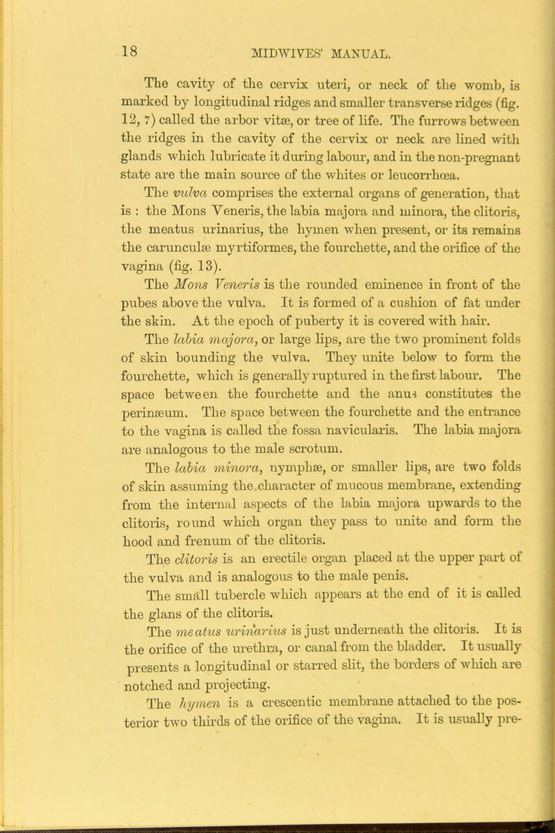 The cavity of the cervix uteri, or neck of the womb, is marked by longitudinal ridges and smaller transverse ridges (fig. 12, 7) called the arbor vitae, or tree of life. The furrows between the ridges in the cavity of the cervix or neck are lined with glands which lubricate it during labour, and in the non-pregnant state are the main source of the whites or leucorrhcea. The vulva comprises the external organs of generation, that is : the Mons Veneris, the labia majora and minora, the clitoris, the meatus urinarius, the hymen when present, or its remains the carunculae myrtiformes, the fourchette, and the orifice of the vagina (fig. 13). The Mons Veneris is the rounded eminence in front of the pubes above the vulva. It is formed of a cushion of fat under the skin. At the epoch of puberty it is covered with hair. The labia majora, or large lips, are the two prominent folds of skin bounding the vulva. They unite below to form the fourchette, which is generally ruptured in the first labour. The space between the fourchette and the anus constitutes the perinseum. The space between the fourchette and the entrance to the vagina is called the fossa navicularis. The labia majora are analogous to the male scrotum. The labia minora, nymphse, or smaller lips, are two folds of skin assuming the character of mucous membrane, extending from the internal aspects of the labia majora upwards to the clitoris, round which organ they pass to unite and form the hood and frenum of the clitoris. The clitoris is an erectile organ placed at the upper pai't of the vulva and is analogous to the male penis. The small tubercle which appears at the end of it is called the glans of the clitoris. The meatus urinarius is just underneath the clitoris. It is the orifice of the urethra, or canal from the bladder. It usually presents a longitudinal or starred slit, the border’s of which are notched and projecting. The hymen is a crescentic membrane attached to the pos- terior two thirds of the orifice of the vagina. It is usually pre-