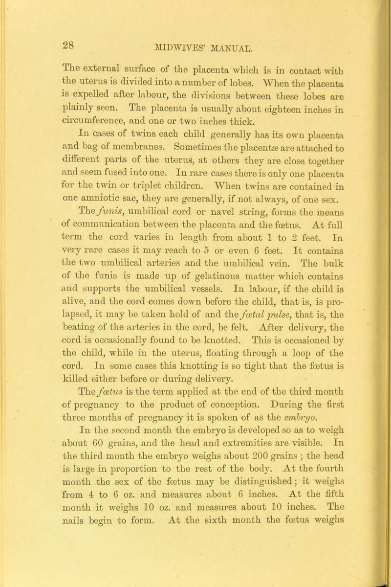 The external surface of the placenta which is in contact with the uterus is divided into a number of lobes. When the placenta is expelled after labour, the divisions between these lobes are plainly seen. The placenta is usually about eighteen inches in circumference, and one or two inches thick. In cases of twins each child generally has its own placenta and bag of membranes. Sometimes the placentae are attached to different parts of the uterus, at others they are close together and seem fused into one. In rare cases there is only one placenta for the twin or triplet children. When twins are contained in one amniotic sac, they are generally, if not always, of one sex. The funis, umbilical cord or navel string, forms the means of communication between the placenta and the foetus. At full term the cord varies in length from about 1 to 2 feet. In very rare cases it may reach to 5 or even 6 feet. It contains the two umbilical arteries and the umbilical vein. The bulk of the funis is made up of gelatinous matter which contains and supports the umbilical vessels. In labour, if the child is alive, and the cord comes down before the child, that is, is pro- lapsed, it may be taken hold of and the foetal pulse, that is, the beating of the arteries in the cord, be felt. After delivery, the cord is occasionally found to be knotted. This is occasioned by the child, while in the uterus, floating through a loop of the cord. In some cases this knotting is so tight that the foetus is killed either before or during delivery. The foetus is the term applied at the end of the third month of pregnancy to the product of conception. During the first three months of pregnancy it is spoken of as the embryo. In the second month the embryo is developed so as to weigh about 60 grains, and the head and extremities are visible. In the third month the embryo weighs about 200 grains ; the head is large in proportion to the rest of the body. At the fourth month the sex of the foetus may be distinguished; it weighs from 4 to 6 oz. and measures about 6 inches. At the fifth month it weighs 10 oz. and measures about 10 inches. The nails begin to form. At the sixth month the foetus weighs