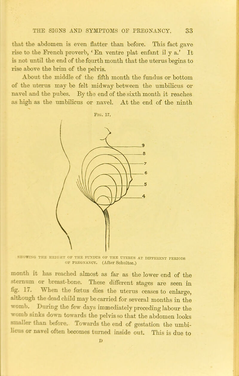 that the abdomen is even flatter than before. This fact gave rise to the French proverb, * En ventre plat enfant il y a.’ It is not until the end of the fourth month that the uterus begins to rise above the brim of the pelvis. About the middle of the fifth month the fundus or bottom of the uterus may be felt midway between the umbilicus or navel and the pubes. By the end of the sixth month it reaches as high as the umbilicus or navel. At the end of the ninth Fig. 17. SH0WK6 THE HEIGHT OF THE FUNDUS OF THE UTERUS AT DIFFERENT PERIODS OF PREGNANCY. (After Schultze.) month it has reached almost as far as the lower end of the -ternum or breast-bone. These different stages are seen in fig. 17. When the fcetus dies the uterus ceases to enlarge, although the dead child may be carried for several months in the womb. During the few days immediately preceding labour the womb sinks down towards the pelvis so that the abdomen looks smaller than before. Towards the end of gestation the umbi- licus or navel often becomes turned inside out. This is due to