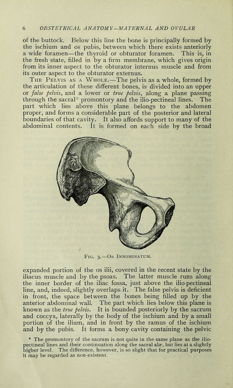 of the buttock. Below this line the bone is principally formed by the ischium and os pubis, between which there exists anteriorly a wide foramen—the thyroid or obturator foramen. This is, in the fresh state, filled in by a firm membrane, which gives origin from its inner aspect to the obturator internus muscle and from its outer aspect to the obturator externus. The Pelvis as a Whole.—The pelvis as a whole, formed by the articulation of these different bones, is divided into an upper or false pelvis, and a lower or true pelvis, along a plane passing through the sacral* promontory and the ilio-pectineal lines. The part which lies above this plane belongs to the abdomen proper, and forms a considerable part of the posterior and lateral boundaries of that cavity. It also affords support to many of the abdominal contents. It is formed on each side by the broad Fig. 3.—Os Innominatum. expanded portion of the os ilii, covered in the recent state by the iliacus muscle and by the psoas. The latter muscle runs along the inner border of the iliac fossa, just above the ilio-pectineal line, and, indeed, slightly overlaps it. The false pelvis is deficient in front, the space between the bones being filled up by the anterior abdominal wall. The part which lies below this plane is known as the true pelvis. It is bounded posteriorly by the sacrum and coccyx, laterally by the body of the ischium and by a small portion of the ilium, and in front by the ramus of the ischium and by the pubis. It forms a bony cavity containing the pelvic * The promontory of the sacrum is not quite in the same plane as the ilio- pectineal lines and their continuation along the sacral alae, but lies at a slightly higher level. The difference, however, is so slight that for practical purposes it may be regarded as non-existent.