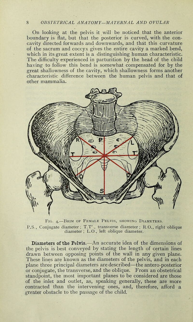 On looking at the pelvis it will be noticed that the anterior boundary is flat, but that the posterior is curved, with the con- cavity directed forwards and downwards, and that this curvature of the sacrum and coccyx gives the entire cavity a marked bend, which in its great extent is a distinguishing human characteristic. The difficulty experienced in parturition by the head of the child having to follow this bend is somewhat compensated for by the great shallowness of the cavity, which shallowness forms another characteristic difference between the human pelvis and that of other mammalia. Fig. 4.—Brim of Female Pelvis, showing Diameters. P.S., Conjugate diameter; T.T'., transverse diameter; R.O., right oblique diameter ; L.O., left oblique diameter. Diameters of the Pelvis.—An accurate idea of the dimensions of the pelvis is best conveyed by stating the length of certain lines drawn between opposing points of the wall in any given plane. These lines are known as the diameters of the pelvis, and in each plane three principal diameters are described—the antero-posterior or conjugate, the transverse, and the oblique. From an obstetrical standpoint, the most important planes to be considered are those of the inlet and outlet, as, speaking generally, these are more contracted than the intervening ones, and, therefore, afford a greater obstacle to the passage of the child.