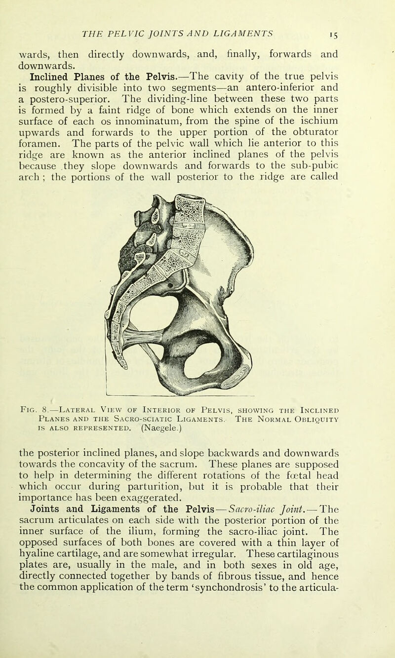 wards, then directly downwards, and, finally, forwards and downwards. Inclined Planes of the Pelvis.—The cavity of the true pelvis is roughly divisible into two segments—an antero-inferior and a postero-superior. The dividing-line between these two parts is formed by a faint ridge of bone which extends on the inner surface of each os innominatum, from the spine of the ischium upwards and forwards to the upper portion of the obturator foramen. The parts of the pelvic wall which lie anterior to this ridge are known as the anterior inclined planes of the pelvis because they slope downwards and forwards to the sub-pubic arch ; the portions of the wall posterior to the ridge are called Fig. 8.—Lateral View of Interior of Pelvis, showing the Inclined Planes and the Sacro-sciatic Ligaments. The Normal Obliquity is also represented. (Naegele.) the posterior inclined planes, and slope backwards and downwards towards the concavity of the sacrum. These planes are supposed to help in determining the different rotations of the foetal head which occur during parturition, but it is probable that their importance has been exaggerated. Joints and Ligaments of the Pelvis — Saero-iliac Joint. — The sacrum articulates on each side with the posterior portion of the inner surface of the ilium, forming the sacro-iliac joint. The opposed surfaces of both bones are covered with a thin layer of hyaline cartilage, and are somewhat irregular. These cartilaginous plates are, usually in the male, and in both sexes in old age, directly connected together by bands of fibrous tissue, and hence the common application of the term ‘synchondrosis’ to the articula-