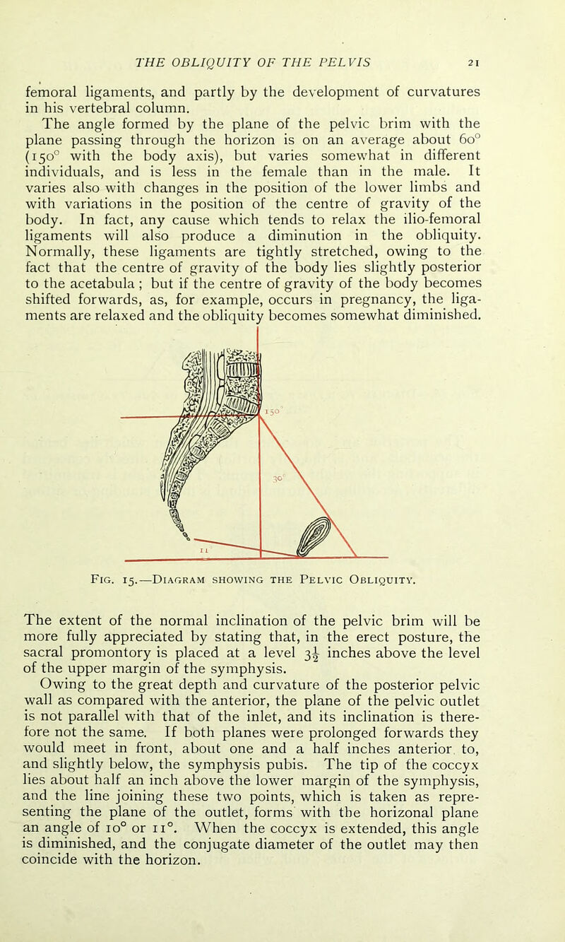 femoral ligaments, and partly by the development of curvatures in his vertebral column. The angle formed by the plane of the pelvic brim with the plane passing through the horizon is on an average about 6o° (150° with the body axis), but varies somewhat in different individuals, and is less in the female than in the male. It varies also with changes in the position of the lower limbs and with variations in the position of the centre of gravity of the body. In fact, any cause which tends to relax the ilio-femoral ligaments will also produce a diminution in the obliquity. Normally, these ligaments are tightly stretched, owing to the fact that the centre of gravity of the body lies slightly posterior to the acetabula ; but if the centre of gravity of the body becomes shifted forwards, as, for example, occurs in pregnancy, the liga- ments are relaxed and the obliquity becomes somewhat diminished. Fig. 15.—Diagram showing the Pelvic Obliquity. The extent of the normal inclination of the pelvic brim will be more fully appreciated by stating that, in the erect posture, the sacral promontory is placed at a level 3^ inches above the level of the upper margin of the symphysis. Owing to the great depth and curvature of the posterior pelvic wall as compared with the anterior, the plane of the pelvic outlet is not parallel with that of the inlet, and its inclination is there- fore not the same. If both planes were prolonged forwards they would meet in front, about one and a half inches anterior to, and slightly below, the symphysis pubis. The tip of the coccyx lies about half an inch above the lower margin of the symphysis, and the line joining these two points, which is taken as repre- senting the plane of the outlet, forms with the horizonal plane an angle of io° or n°. When the coccyx is extended, this angle is diminished, and the conjugate diameter of the outlet may then coincide with the horizon.
