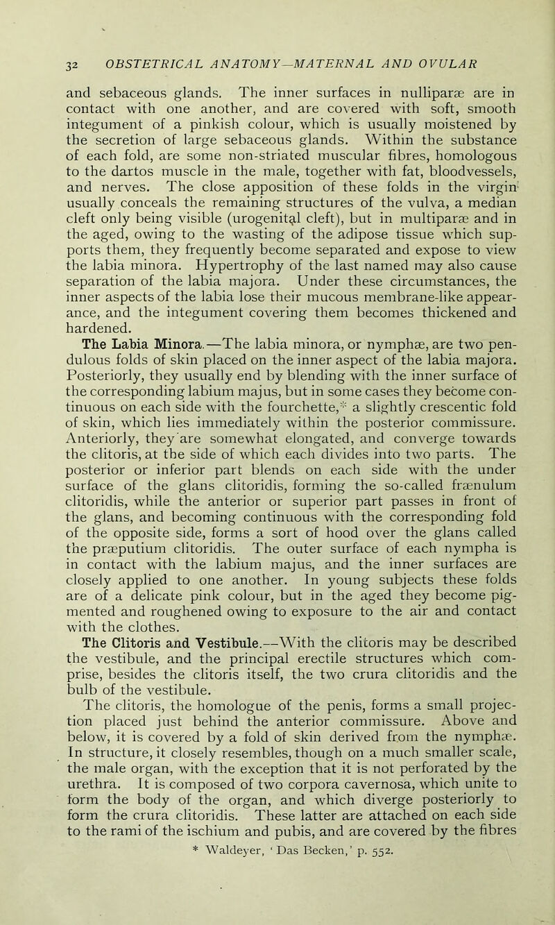 and sebaceous glands. The inner surfaces in nulliparae are in contact with one another, and are covered with soft, smooth integument of a pinkish colour, which is usually moistened by the secretion of large sebaceous glands. Within the substance of each fold, are some non-striated muscular fibres, homologous to the dartos muscle in the male, together with fat, bloodvessels, and nerves. The close apposition of these folds in the virgin usually conceals the remaining structures of the vulva, a median cleft only being visible (urogenital cleft), but in multipart and in the aged, owing to the wasting of the adipose tissue which sup- ports them, they frequently become separated and expose to view the labia minora. Hypertrophy of the last named may also cause separation of the labia majora. Under these circumstances, the inner aspects of the labia lose their mucous membrane-like appear- ance, and the integument covering them becomes thickened and hardened. The Labia Minora.—The labia minora, or nymphae, are two pen- dulous folds of skin placed on the inner aspect of the labia majora. Posteriorly, they usually end by blending with the inner surface of the corresponding labium majus, but in some cases they become con- tinuous on each side with the fourchette,* a slightly crescentic fold of skin, which lies immediately within the posterior commissure. Anteriorly, they are somewhat elongated, and converge towards the clitoris, at the side of which each divides into two parts. The posterior or inferior part blends on each side with the under surface of the glans clitoridis, forming the so-called fraenulum clitoridis, while the anterior or superior part passes in front of the glans, and becoming continuous with the corresponding fold of the opposite side, forms a sort of hood over the glans called the praeputium clitoridis. The outer surface of each nympha is in contact with the labium majus, and the inner surfaces are closely applied to one another. In young subjects these folds are of a delicate pink colour, but in the aged they become pig- mented and roughened owing to exposure to the air and contact with the clothes. The Clitoris and Vestibule.—With the clitoris may be described the vestibule, and the principal erectile structures which com- prise, besides the clitoris itself, the two crura clitoridis and the bulb of the vestibule. The clitoris, the homologue of the penis, forms a small projec- tion placed just behind the anterior commissure. Above and below, it is covered by a fold of skin derived from the nympha?. In structure, it closely resembles, though on a much smaller scale, the male organ, with the exception that it is not perforated by the urethra. It is composed of two corpora cavernosa, which unite to form the body of the organ, and which diverge posteriorly to form the crura clitoridis. These latter are attached on each side to the rami of the ischium and pubis, and are covered by the fibres * Waldeyer, ‘ Das Becken,’ p. 552.