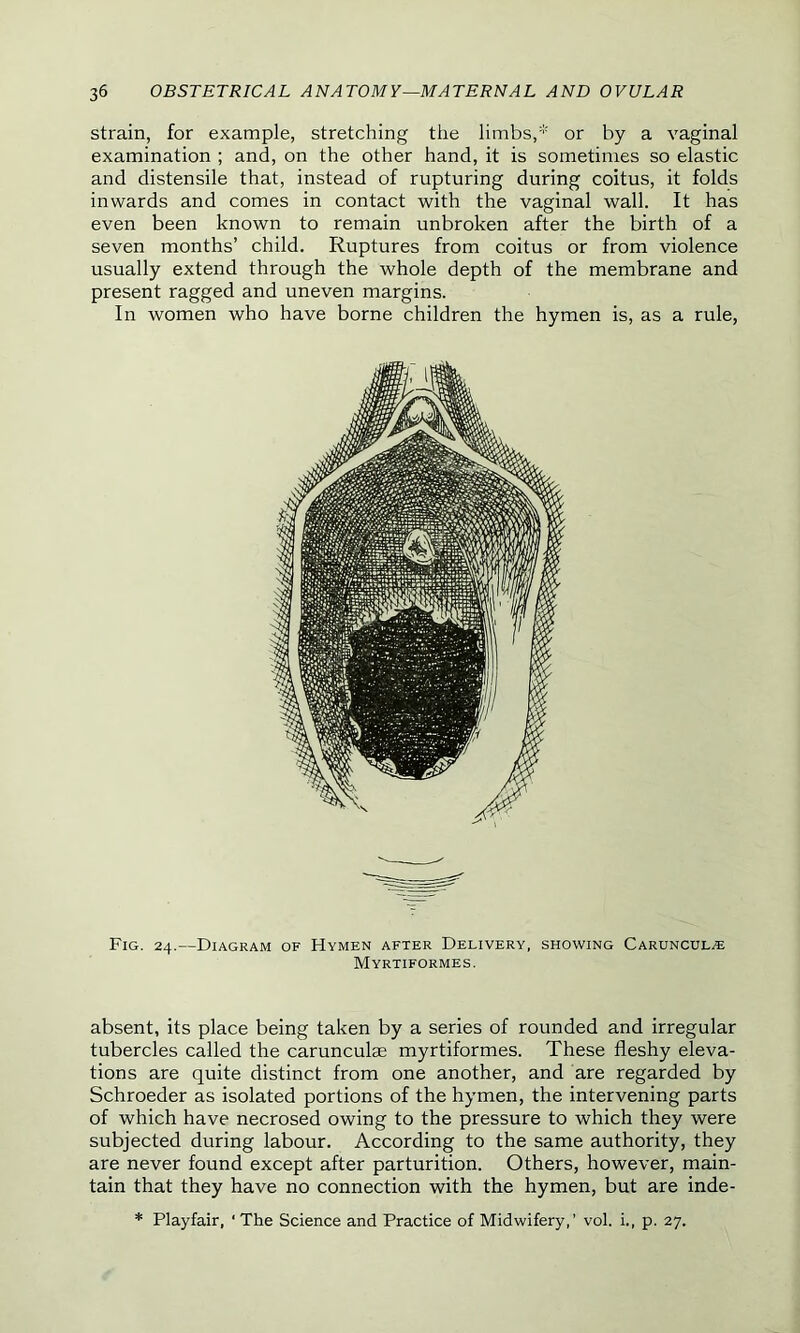 strain, for example, stretching the limbs,* or by a vaginal examination ; and, on the other hand, it is sometimes so elastic and distensile that, instead of rupturing during coitus, it folds inwards and comes in contact with the vaginal wall. It has even been known to remain unbroken after the birth of a seven months’ child. Ruptures from coitus or from violence usually extend through the whole depth of the membrane and present ragged and uneven margins. In women who have borne children the hymen is, as a rule, Fig. 24.—Diagram of Hymen after Delivery, showing Caruncul^ Myrtiformes. absent, its place being taken by a series of rounded and irregular tubercles called the caruncuke myrtiformes. These fleshy eleva- tions are quite distinct from one another, and are regarded by Schroeder as isolated portions of the hymen, the intervening parts of which have necrosed owing to the pressure to which they were subjected during labour. According to the same authority, they are never found except after parturition. Others, however, main- tain that they have no connection with the hymen, but are inde- * Playfair, ‘ The Science and Practice of Midwifery,’ vol. i., p. 27.