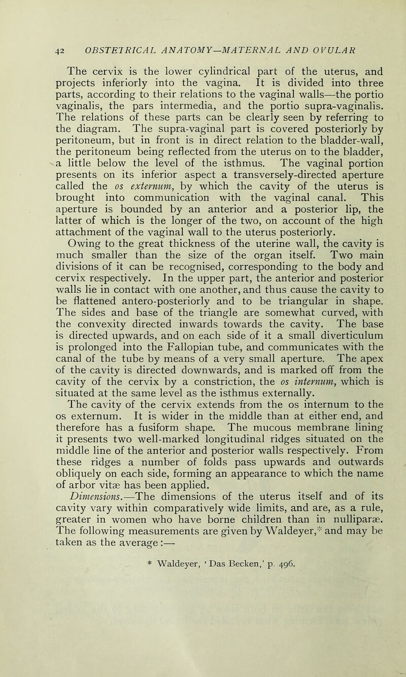 The cervix is the lower cylindrical part of the uterus, and projects inferiorly into the vagina. It is divided into three parts, according to their relations to the vaginal walls—the portio vaginalis, the pars intermedia, and the portio supra-vaginalis. The relations of these parts can be clearly seen by referring to the diagram. The supra-vaginal part is covered posteriorly by peritoneum, but in front is in direct relation to the bladder-wall, the peritoneum being reflected from the uterus on to the bladder, -a little below the level of the isthmus. The vaginal portion presents on its inferior aspect a transversely-directed aperture called the os externum, by which the cavity of the uterus is brought into communication with the vaginal canal. This aperture is bounded by an anterior and a posterior lip, the latter of which is the longer of the two, on account of the high attachment of the vaginal wall to the uterus posteriorly. Owing to the great thickness of the uterine wall, the cavity is much smaller than the size of the organ itself. Two main divisions of it can be recognised, corresponding to the body and cervix respectively. In the upper part, the anterior and posterior walls lie in contact with one another, and thus cause the cavity to be flattened antero-posteriorly and to be triangular in shape. The sides and base of the triangle are somewhat curved, with the convexity directed inwards towards the cavity. The base is directed upwards, and on each side of it a small diverticulum is prolonged into the Fallopian tube, and communicates with the canal of the tube by means of a very small aperture. The apex of the cavity is directed downwards, and is marked off from the cavity of the cervix by a constriction, the os internum, which is situated at the same level as the isthmus externally. The cavity of the cervix extends from the os internum to the os externum. It is wider in the middle than at either end, and therefore has a fusiform shape. The mucous membrane lining it presents two well-marked longitudinal ridges situated on the middle line of the anterior and posterior walls respectively. From these ridges a number of folds pass upwards and outwards obliquely on each side, forming an appearance to which the name of arbor vitae has been applied. Dimensions.—The dimensions of the uterus itself and of its cavity vary within comparatively wide limits, and are, as a rule, greater in women who have borne children than in nulliparae. The following measurements are given by Waldeyer,* and may be taken as the average:—