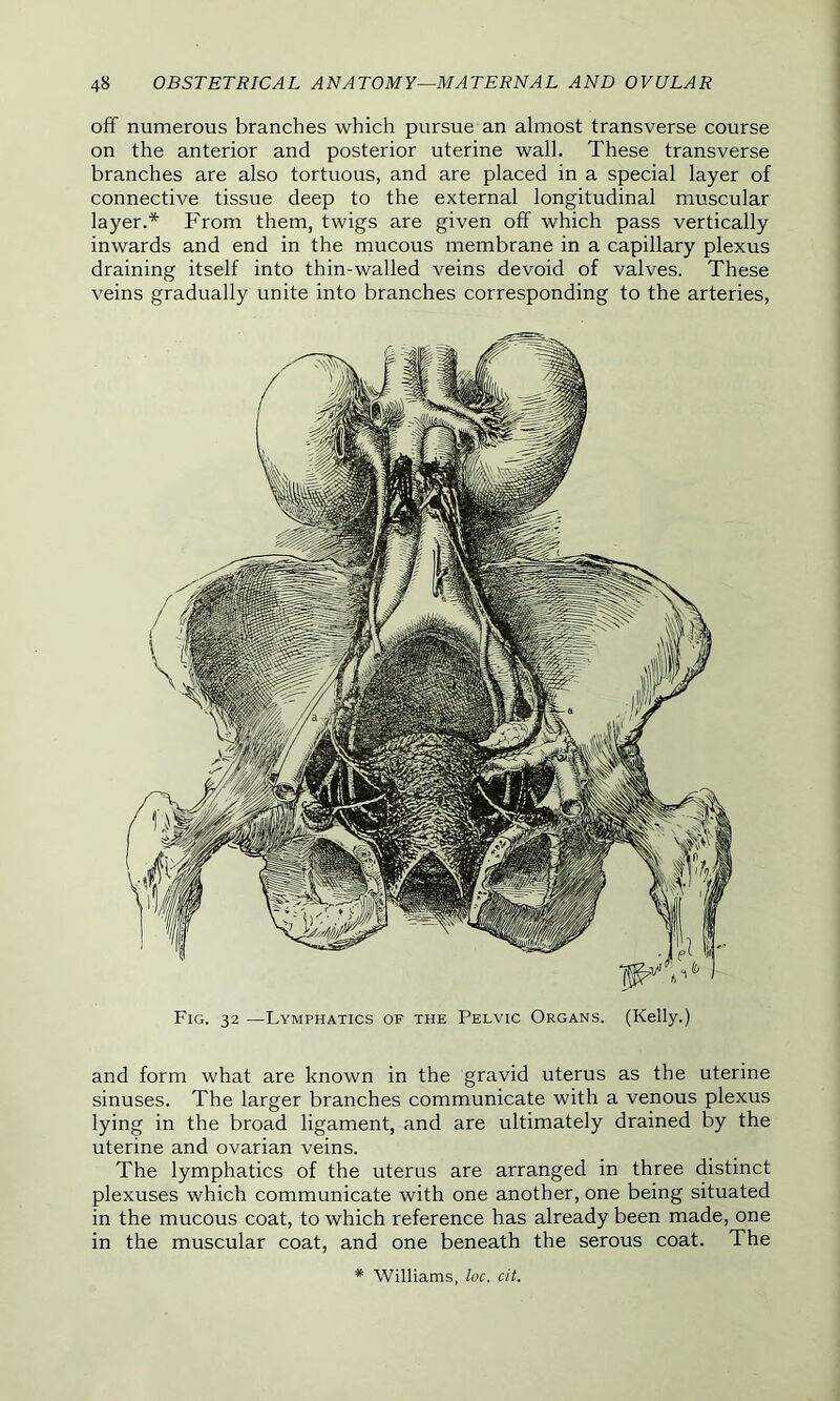 off numerous branches which pursue an almost transverse course on the anterior and posterior uterine wall. These transverse branches are also tortuous, and are placed in a special layer of connective tissue deep to the external longitudinal muscular layer.* From them, twigs are given off which pass vertically inwards and end in the mucous membrane in a capillary plexus draining itself into thin-walled veins devoid of valves. These veins gradually unite into branches corresponding to the arteries, Fig. 32 —Lymphatics of the Pelvic Organs. (Kelly.) and form what are known in the gravid uterus as the uterine sinuses. The larger branches communicate with a venous plexus lying in the broad ligament, and are ultimately drained by the uterine and ovarian veins. The lymphatics of the uterus are arranged in three distinct plexuses which communicate with one another, one being situated in the mucous coat, to which reference has already been made, one in the muscular coat, and one beneath the serous coat. The * Williams, loc. cit.
