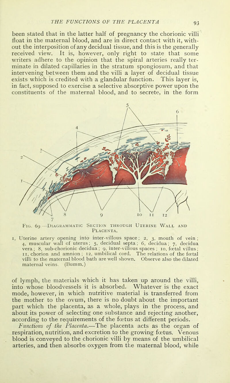 been stated that in the latter half of pregnancy the chorionic villi float in the maternal blood, and are in direct contact with it, with- out the interposition of any decidual tissue, and this is the generally received view. It is, however, only right to state that some writers adhere to the opinion that the spiral arteries really ter- minate in dilated capillaries in the stratum spongiosum, and that intervening between them and the villi a layer of decidual tissue exists which is credited with a glandular function. This layer is, in fact, supposed to exercise a selective absorptive power upon the constituents of the maternal blood, and to secrete, in the form 7 Fig. 69—Diagrammatic Section through Uterine Wall and Placenta. 1, Uterine artery opening into inter-villous space; 2, 3, mouth of vein; 4, muscular wall of uterus; 5, decidual septa; 6, decidua; 7, decidua vera; 8, sub-chorionic decidua ; 9, inter-villous spaces ; 10, foetal villus ; 11, chorion and amnion; 12, umbilical cord. The relations of the foetal villi to the maternal blood bath are well shown. Observe also the dilated maternal veins. (Bumm.) of lymph, the materials which it has taken up around the villi, into whose bloodvessels it is absorbed. Whatever is the exact mode, however, in which nutritive material is transferred from the mother to the ovum, there is no doubt about the important part which the placenta, as a whole, plays in the process, and about its power of selecting one substance and rejecting another, according to the requirements of the foetus at different periods. Functions of the Placenta.—The placenta acts as the organ of respiration, nutrition, and excretion to the growing foetus. Venous blood is conveyed to the chorionic villi by means of the umbilical arteries, and then absorbs oxygen from the maternal blood, while