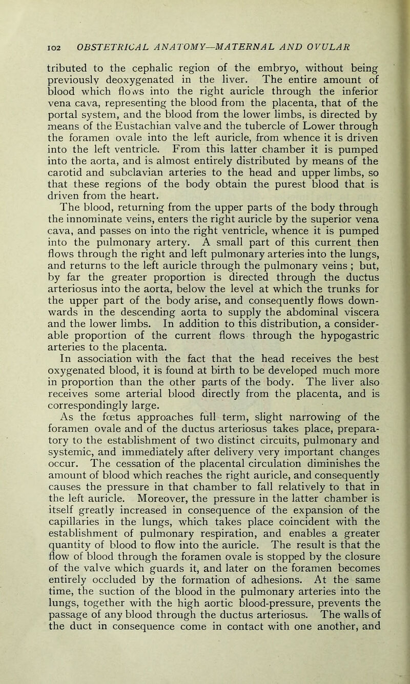 tributed to the cephalic region of the embryo, without being previously deoxygenated in the liver. The entire amount of blood which flows into the right auricle through the inferior vena cava, representing the blood from the placenta, that of the portal system, and the blood from the lower limbs, is directed by means of the Eustachian valve and the tubercle of Lower through the foramen ovale into the left auricle, from whence it is driven into the left ventricle. From this latter chamber it is pumped into the aorta, and is almost entirely distributed by means of the carotid and subclavian arteries to the head and upper limbs, so that these regions of the body obtain the purest blood that is driven from the heart. The blood, returning from the upper parts of the body through the innominate veins, enters the right auricle by the superior vena cava, and passes on into the right ventricle, whence it is pumped into the pulmonary artery. A small part of this current then flows through the right and left pulmonary arteries into the lungs, and returns to the left auricle through the pulmonary veins ; but, by far the greater proportion is directed through the ductus arteriosus into the aorta, below the level at which the trunks for the upper part of the body arise, and consequently flows down- wards in the descending aorta to supply the abdominal viscera and the lower limbs. In addition to this distribution, a consider- able proportion of the current flows through the hypogastric arteries to the placenta. In association with the fact that the head receives the best oxygenated blood, it is found at birth to be developed much more in proportion than the other parts of the body. The liver also receives some arterial blood directly from the placenta, and is correspondingly large. As the foetus approaches full term, slight narrowing of the foramen ovale and of the ductus arteriosus takes place, prepara- tory to the establishment of two distinct circuits, pulmonary and systemic, and immediately after delivery very important changes occur. The cessation of the placental circulation diminishes the amount of blood which reaches the right auricle, and consequently causes the pressure in that chamber to fall relatively to that in the left auricle. Moreover, the pressure in the latter chamber is itself greatly increased in consequence of the expansion of the capillaries in the lungs, which takes place coincident with the establishment of pulmonary respiration, and enables a greater quantity of blood to flow into the auricle. The result is that the flow of blood through the foramen ovale is stopped by the closure of the valve which guards it, and later on the foramen becomes entirely occluded by the formation of adhesions. At the same time, the suction of the blood in the pulmonary arteries into the lungs, together with the high aortic blood-pressure, prevents the passage of any blood through the ductus arteriosus. The walls of the duct in consequence come in contact with one another, and