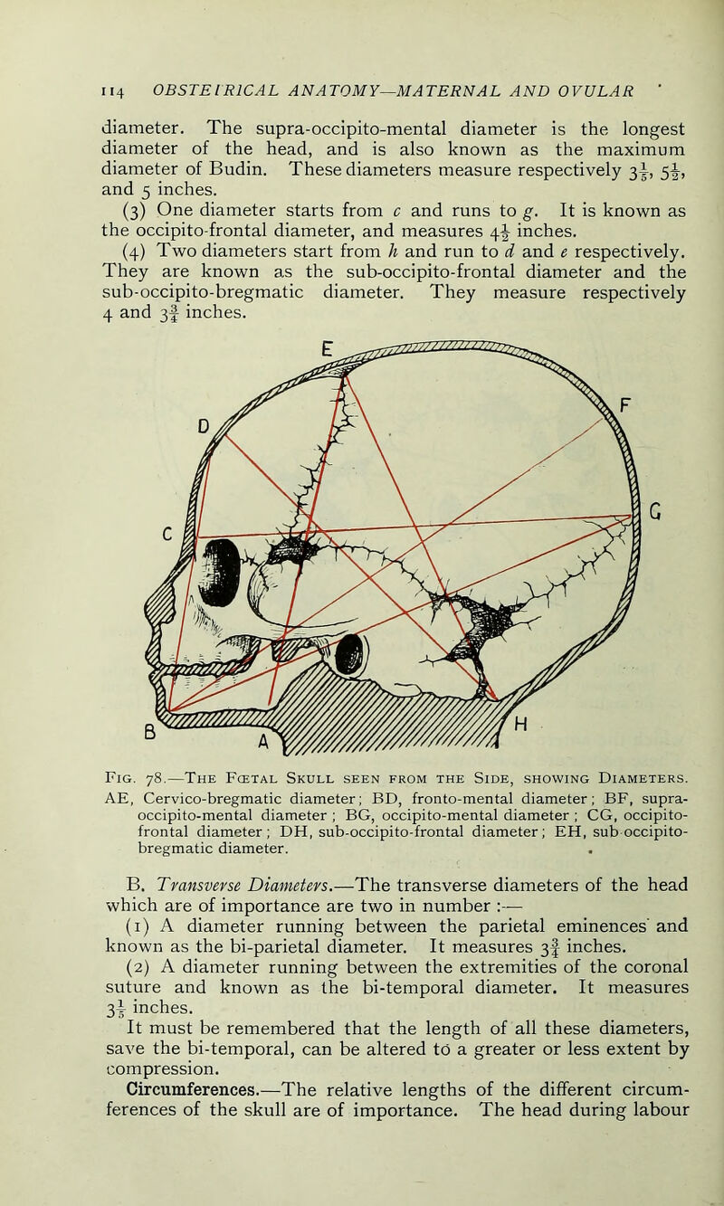diameter. The supra-occipito-mental diameter is the longest diameter of the head, and is also known as the maximum diameter of Budin. These diameters measure respectively 31, 5-J-, and 5 inches. (3) One diameter starts from c and runs to g. It is known as the occipito-frontal diameter, and measures 4^ inches. (4) Two diameters start from h and run to d and e respectively. They are known as the sub-occipito-frontal diameter and the sub-occipito-bregmatic diameter. They measure respectively 4 and 3f inches. Fig. 78.—The Fcetal Skull seen from the Side, showing Diameters. AE, Cervico-bregmatic diameter; BD, fronto-mental diameter; BF, supra- occipito-mental diameter ; BG, occipito-mental diameter ; CG, occipito- frontal diameter; DH, sub-occipito-frontal diameter; EH, sub occipito- bregmatic diameter. B. Transverse Diameters.—The transverse diameters of the head which are of importance are two in number :— (1) A diameter running between the parietal eminences' and known as the bi-parietal diameter. It measures 3| inches. (2) A diameter running between the extremities of the coronal suture and known as the bi-temporal diameter. It measures 3^ inches. It must be remembered that the length of all these diameters, save the bi-temporal, can be altered to a greater or less extent by compression. Circumferences.—The relative lengths of the different circum- ferences of the skull are of importance. The head during labour