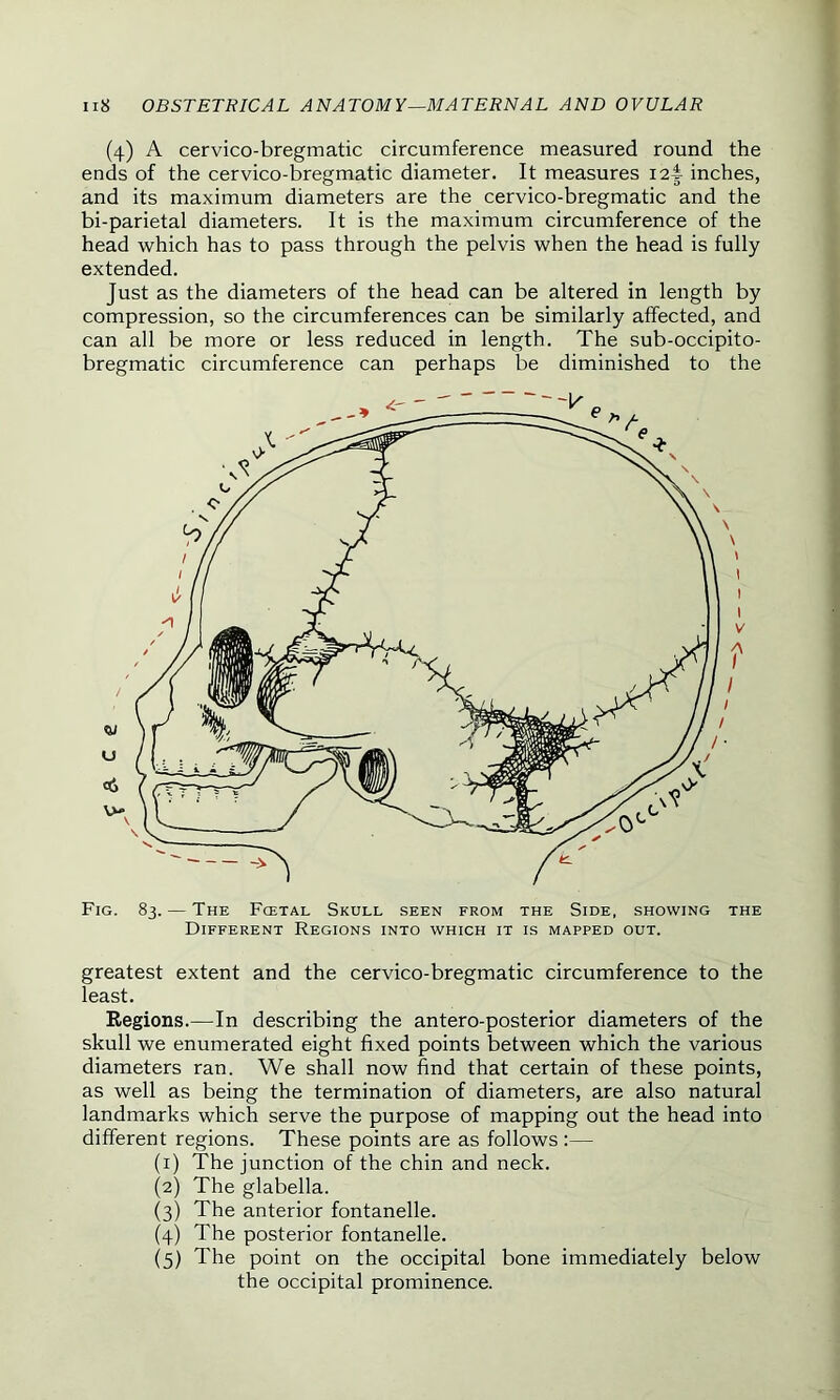 (4) A cervico-bregmatic circumference measured round the ends of the cervico-bregmatic diameter. It measures i2i inches, and its maximum diameters are the cervico-bregmatic and the bi-parietal diameters. It is the maximum circumference of the head which has to pass through the pelvis when the head is fully extended. Just as the diameters of the head can be altered in length by compression, so the circumferences can be similarly affected, and can all be more or less reduced in length. The sub-occipito- bregmatic circumference can perhaps be diminished to the Fig. 83. — The Fcetal Skull seen from the Side, showing the Different Regions into which it is mapped out. greatest extent and the cervico-bregmatic circumference to the least. Regions.—In describing the antero-posterior diameters of the skull we enumerated eight fixed points between which the various diameters ran. We shall now find that certain of these points, as well as being the termination of diameters, are also natural landmarks which serve the purpose of mapping out the head into different regions. These points are as follows :— (1) The junction of the chin and neck. (2) The glabella. (3) The anterior fontanelle. (4) The posterior fontanelle. (5) The point on the occipital bone immediately below the occipital prominence.