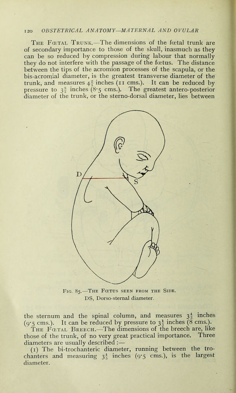 The Fcetal Trunk.—The dimensions of the foetal trunk are of secondary importance to those of the skull, inasmuch as they can be so reduced by compression during labour that normally they do not interfere with the passage of the foetus. The distance between the tips of the acromion processes of the scapula, or the bis-acromial diameter, is the greatest transverse diameter of the trunk, and measures 4§ inches (n cms.). It can be reduced by pressure to 3§ inches (8-5 cms.). The greatest antero-posterior diameter of the trunk, or the sterno-dorsal diameter, lies between the sternum and the spinal column, and measures 3b inches (9-5 cms.). It can be reduced by pressure to 3b inches (8 cms.). The Fcetal Breech.—The dimensions of the breech are, like those of the trunk, of no very great practical importance. Three diameters are usually described :— (1) The bi-trochanteric diameter, running between the tro- chanters and measuring 3b inches (9’5 cms.), is the largest diameter. Fig. 85.—The Foetus seen from the Side. DS, Dorso-sternal diameter.