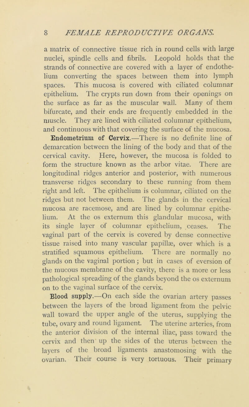 a matrix of connective tissue rich in round cells with large nuclei, spindle cells and fibrils. Leopold holds that the strands of connective are covered with a layer of endothe- lium converting the spaces between them into lymph spaces. This mucosa is covered with ciliated columnar epithelium. The crypts run down from their openings on the surface as far as the muscular wall. Many of them bifurcate, and their ends are frequently embedded in the muscle. They are lined with ciliated columnar epithelium, and continuous with that covering the surface of the mucosa. Endometrium of Cervix.—There is no definite line of demarcation between the lining of the body and that of the cervical cavity. Here, however, the mucosa is folded to form the structure known as the arbor vitae. There are longitudinal ridges anterior and posterior, with numerous transverse ridges secondary to these running from them right and left. The epithelium is columnar, ciliated on the ridges but not between them. The glands in the cervical mucosa are racemose, and are lined by columnar epithe- lium. At the os externum this glandular mucosa, with its single layer of columnar epithelium, ceases. The vaginal part of the cervix is covered by dense connective tissue raised into many vascular papillae, over which is a stratified squamous epithelium. There are normally no glands on the vaginal portion; but in cases of eversion of the mucous membrane of the cavity, there is a more or less pathological spreading of the glands beyond the os externum on to the vaginal surface of the cervix. Blood supply.—On each side the ovarian artery passes between the layers of the broad ligament from the pelvic wall toward the upper angle of the uterus, supplying the tube, ovary and round ligament. The uterine arteries, from the anterior division of the internal iliac, pass toward the cervix and then up the sides of the uterus between the layers of the broad ligaments anastomosing with the ovarian. Their course is very tortuous. Their primary