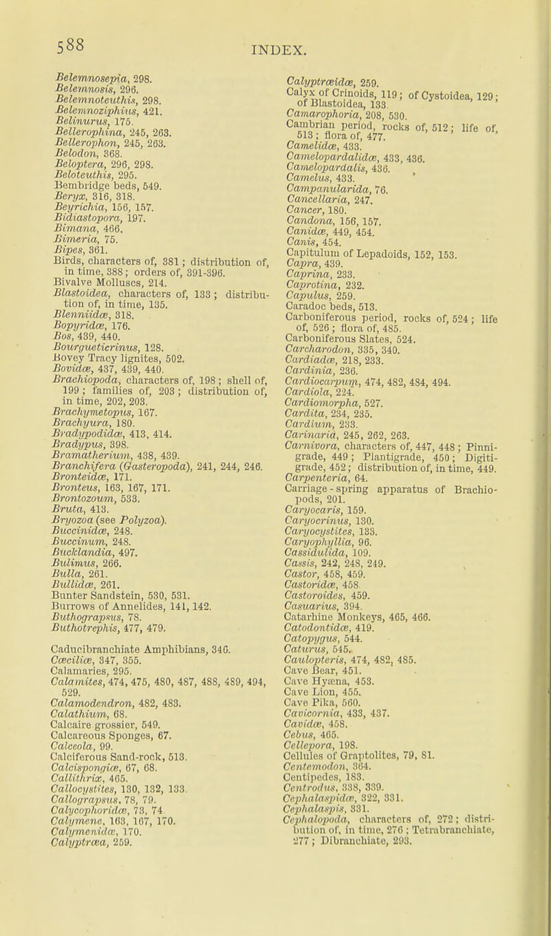 Belemnosepia, 298. Belemnosix, 296. Belemnoteuth.il!, 298. Belemnoziphius, 421. Belinurus, 175. Bellerophina, 245, 263. Bellerophon, 245, 263. Belodon, 368. Beloptera, 296, 298. Belotcuthis, 295. Bembridge beds, 549. .Ben/a;, 316, 318. Beyrichia, 156, 157. Bidiastopora, 197. Bimana, 466. Bimeria, 75. .Bipes, 361. Birds, characters of, 381; distribution of, in time, 38S; orders of, 391-396. Bivalve Molluscs, 214. Blastoidea, characters of, 133 ; distribu- tion of, in time, 135. Blenniidce, 318. Bopyridce, 176. Bos, 439, 440. Bouryueticrinus, 128. Bovey Tracy lignites, 502. Bovidce, 437, 439, 440. Brachiopoda, characters of, 198; shell of, 199 ; families of, 203 ; distribution of, in time, 202, 203. Brachymetopus, 167. Brachyura, 180. Bradypodidai, 413, 414. Bradypus, 398. Bramatherium, 438, 439. Branchi/era (Gasteropoda), 241, 244, 246. Bronteidce, 171. Bronteus, 163, 167, 171. Brontozoum, 533. Bruta, 413. Bryozoa (see Polyzoa). Buccinidce, 248. Buccinum, 248. Buclclandia, 497. Bulimus, 266. -fiwZZa, 261. Bullidce, 261. Bunter Sandstein, 530, 531. Burrows of Annelides, 141,142. Buthograpmts, 7S. Buthotrephis, 477, 479. Caducibranchiate Amphibians, 340. Ccecilice, 347, 355. Calamaries, 295. Calamites, 474, 475, 480, 4S7, 48S, 4S9, 494, 529. Calamodendron, 482, 483. Calathium, 68. Calcaire grossier, 549. Calcareous Sponges, 67. Calceola, 99. Calciferous Sand-rook, 513. Calcispongice, 67, 68. Callithrix, 465. Callocystites, 130, 132, 133 Callograpsus. 78, 79. Cahjcophoridai, 73. 74 Calymenc, 163, 167, 170. Calymenitta; 170. Calyptrcea, 259. Calyptrmidce, 259. Calyx of Crinoids, 119; of Cystoidea, 129; of Blastoidea, 133 Camarophoria, 208, 530. Cambrian period, rocks of, 512; life of 513 ; flora of, 477. Camelidce, 433. Camelopardalidce, 433, 436. Camelopardalis, 436. Camelus, 433. Campanularida, 76. Cancellaria, 247. Cancer, 180. Candona, 156,157. Canidce, 449, 454. Canis, 454. Capitulum of Lepadoids, 152, 153. Capra, 439. Caprina, 233. Caprotina, 232. Capulus, 259. Caradoc beds, 513. Carboniferous period, rocks of, 524 ; life of, 526 ; flora of, 485. Carboniferous Slates, 524. Carcharodon, 335, 340. Cardiadce, 218, 233. Cardinia, 236. Cardiocaipum, 474, 482, 484, 494. Cardiola, 224'. Cardiomorpha, 527. Cardita, 234, 235. Cardium, 233. Carinarid, 245, 262, 263. Carnivora, characters of, 447, 448 ; Pinni- grade, 449; Plantigrade, 450; Digiti- grade, 452; distribution of, in time, 449. Carpentaria, 64. Carriage - spring apparatus of Brachio- pods, 201. Caryocaris, 159. Caryocrinns, 130. Caryocystites, 133. Caryophyllia, 96. Cassidulida, 109. Cassis, 242, 248, 219. Castor, 458, 459. Castoridce, 45S Castoroides, 459. Casuarius, 394. Catarhine Monkeys, 465, 466. Catodontidat, 419. Catopygm, 544. Caturus, 545. Caulopteris, 474, 482, 4S5. Cave Bear, 451. Cave Hyaena, 453. Cave Lion, 455. Cave Pika, 560. Cavicomia, 433, 437. Cauidai, 458. CcJms, 465. Cellepora, 198. Cellules of Graptolites, 79, SI. Ccn(<!?no(foH, 364. Centipedes, 183. Centrodus, 338, 339. Cephalaspidw, 322, 331. Ceplinliispi.i, 331. Cephalopoda, characters of, 272; distri- bution of, in time, 276 ; Tetrabranchiate, 277; Dibranchiate, 293.