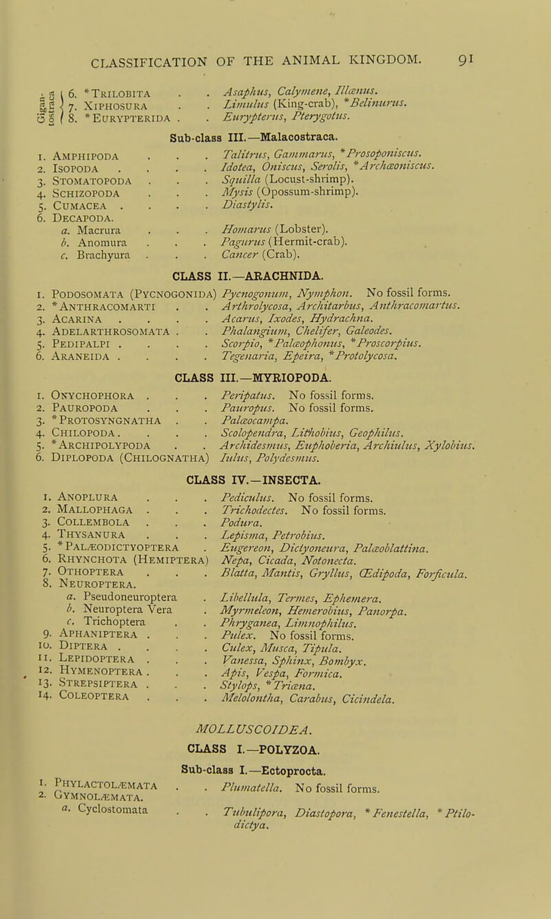 ^•516. *Tkilobita g,S } 7. XlPHOSUUA oS (8. *EURYPTERIDA . Asaphus, Calymene, Illcenus. Liiiiuhts (King-crab), *Belhitims. Eiiryptents, Pterygohis. 1. Amphipoda 2. ISOPODA 3. Stomatopoda 4. schizopoda 5. CUMACEA . 6. Decapoda. a. Macrura /). Anomura c. Brachyura Sub-class III.—Malaoostraca. . Taliirus, Gainmarus, *Prosoponisciis. . Idotea, Oniscus, Serolis, *Archmoniscus. . Sqiiilla (Locust-shrimp). . My sis (Opossum-shrimp). . Diastylis. . Homarus (Lobster). . /Vjo-«n<j'(Hermit-crab). Cancer (Crab). CLASS II.—ARACHNIDA. PODOSOMATA (Pycnogonida) PyciiogoHum, Nymphon. No fossil forms. *Anthracomarti . . Arthrolycosa, Architarlms, Anthracomartus. Acarina Adelarthrosomata Pedipalpi . Araneida . Acarus, Ixodes, Hydrachna. Phalangium, Chelifer, Galeodes. Scorpio, *Palceopkonus, *Proscorpius. Tegenaria, Epeira, *Protolycosa. CLASS III.—MYRIOPODA. 1. Okychophora . 2. Pauropoda 3. * Protosyngnatha 4. Chilopoda. 5. *Archipolypoda 6. Diplopoda (Chilognatha) Peripatus. No fossil forms. Pauroptis. No fossil forms. PalcBocampa. Scolopendra, Litiiohitcs, Geophihts. Archidesmus, Euphoberia, Archiulus, Xylobius. Tuhts, Polydesmiis. CLASS IV.-INSECTA. 1. Anoplura 2. Mallophaga . 3. collembola 4. Thysanura 5. *Pal.«odictyoptera 6. Rhynchota (Hemiptera 7. Othoptera 8. Neuroptera. a. Pseudoneuroptera b. Neuroptera Vera c. Trichoptera 9. Aphaniptera 10. Diptera . 11. Lepidoptera 12. Hymenoptera 13. .Strepsiptera 14. Coleoptera Pedicuhcs. No fossil forms. Trichodectes. No fossil forms. Podura. Lepisnia, Petrobius. Eugereon, Diciyoneura, Palceoblattina. Nepa, Cicada, Notonecta. Blatta, Mantis, Gryllus, (Edipoda, Forficula. Libelltda, Teriiies, Ephemera. Myrmeleon, Hemerobius, Pano7pa. Phryganea, Liinnophiltts. Pulex. No fossil fonns. Culex, Musca, Tipiila. Vanessa, Sphinx, Bombyx. Apis, Vespa, Formica. Stylops, *Tri(ena. Melolontha, Carabus, Cicindela. 1. Phylactol/emata 2. GYMNOL/EMATA. a. Cyclostomata MOLLUSCOIDEA. CLASS I.—POLYZOA. Sub-class I.—Ectoprocta. . Plumatella. No fossil forms. Ttdmlipora, Diasiopora, dictya. *■ Fenestella, * Ptilo-