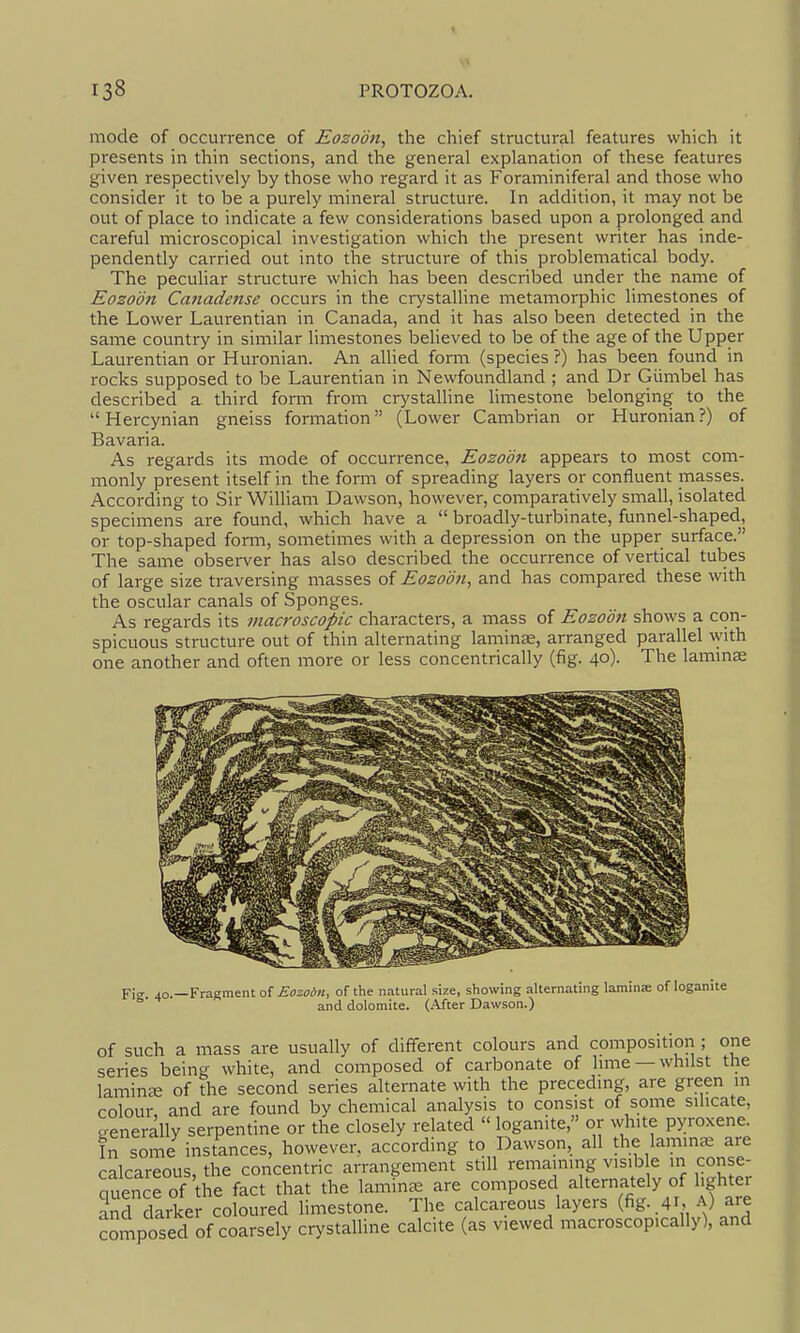 mode of occurrence of Eozoon, the chief structural features which it presents in thin sections, and the general explanation of these features given respectively by those who regard it as Foraminiferal and those who consider it to be a purely mineral structure. In addition, it may not be out of place to indicate a few considerations based upon a prolonged and careful microscopical investigation which the present writer has inde- pendently carried out into the structure of this problematical body. The peculiar structure which has been described under the name of Eozoon Canadense occurs in the ci-ystaUine metamorphic limestones of the Lower Laurentian in Canada, and it has also been detected in the same country in similar limestones believed to be of the age of the Upper Laurentian or Huronian. An allied form (species ?) has been found in rocks supposed to be Laurentian in Newfoundland ; and Dr Giimbel has described a third form from crystalline limestone belonging to the  Hercynian gneiss formation (Lower Cambrian or Huronian?) of Bavaria. As regards its mode of occurrence, Eozoon appears to most com- monly present itself in the form of spreading layers or confluent masses. According to Sir William Dawson, however, comparatively small, isolated specimens are found, which have a  broadly-turbinate, funnel-shaped, or top-shaped form, sometimes with a depression on the upper surface. The same observer has also described the occurrence of vertical tubes of large size traversing masses of Eozom, and has compared these with the oscular canals of Sponges. As regards its macroscopic characters, a mass of Eozoon shows a con- spicuous structure out of thin alternating laminae, arranged parallel with one another and often more or less concentrically (fig. 40). The laminae Fif. 40.—Fragment o( Eozoon, of the natural size, showing alternating lamina of loganite ° and dolomite. (.-Vfter Dawson.) of such a mass are usually of different colours and composition; one series being white, and composed of carbonate of lime —whilst the laminse of the second series alternate with the preceding, are green in colour, and are found by chemical analysis to consist of some silicate, generally serpentine or the closely related  loganite, or white pyroxene. In some instances, however, according to Dawson, all the laminae are calcareous, the concentric arrangement still remaining visib e in conse- quenJe of the fact that the laminae are composed alternately of lighter and darker coloured hmestone. The calcareous layers .41, a) are composed of coarsely crystalline calcite (as viewed macroscop.cally), and