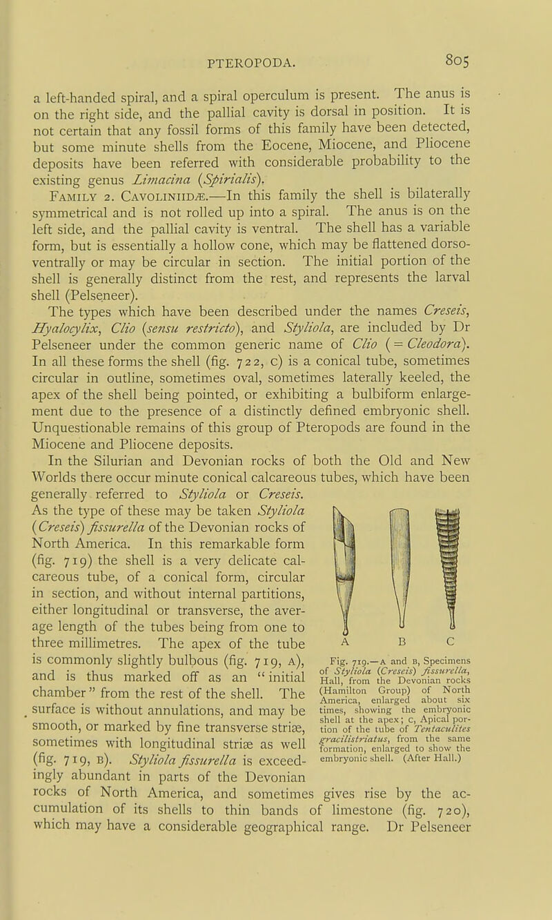 a left-handed spiral, and a spiral operculum is present. The anus is on the right side, and the pallial cavity is dorsal in position. It is not certain that any fossil forms of this family have been detected, but some minute shells from the Eocene, Miocene, and Pliocene deposits have been referred with considerable probability to the existing genus Limacina {Spirialis). Family 2. Cavoliniid;e.—In this family the shell is bilaterally symmetrical and is not rolled up into a spiral. The anus is on the left side, and the pallial cavity is ventral. The shell has a variable form, but is essentially a hollow cone, which may be flattened dorso- ventrally or may be circular in section. The initial portion of the shell is generally distinct from the rest, and represents the larval shell (Pelseneer). The types which have been described under the names Creseis, ITyalocyHx, Clio {sensu restricto), and Styliola, are included by Dr Pelseneer under the common generic name of CHo (= Cleodora). In all these forms the shell (fig. 722, c) is a conical tube, sometimes circular in outline, sometimes oval, sometimes laterally keeled, the apex of the shell being pointed, or exhibiting a bulbiform enlarge- ment due to the presence of a distinctly defined embryonic shell. Unquestionable remains of this group of Pteropods are found in the Miocene and Pliocene deposits. In the Silurian and Devonian rocks of both the Old and New Worlds there occur minute conical calcareous tubes, which have been generally referred to Styliola or Creseis. As the type of these may be taken Styliola {Creseis) fissurella of the Devonian rocks of North America. In this remarkable form (fig. 719) the shell is a very delicate cal- careous tube, of a conical form, circular in section, and without internal partitions, either longitudinal or transverse, the aver- age length of the tubes being from one to three millimetres. The apex of the tube is commonly slightly bulbous (fig. 719, a), and is thus marked off as an  initial chamber  from the rest of the shell. The _ surface is without annulations, and may be smooth, or marked by fine transverse striae, sometimes with longitudinal striae as well (fig. 719, b). Styliola fissurella is exceed- ingly abundant in parts of the Devonian rocks of North America, and sometimes gives rise by the ac- cumulation of its shells to thin bands of limestone (fig. 720), which may have a considerable geographical range. Dr Pelseneer ABC Fig. 719.—A and B, Specimens of Styliola (Creseis) fissurella. Hall, from the Devonian rocks (Hamilton Group) of North America, enlarged about six times, showing the embryonic shell at the apex; c, Apical por- tion of the tube of Tentaculites gracilistriatits, from the same formation, enlarged to show the embryonic shell. (After Hall.)