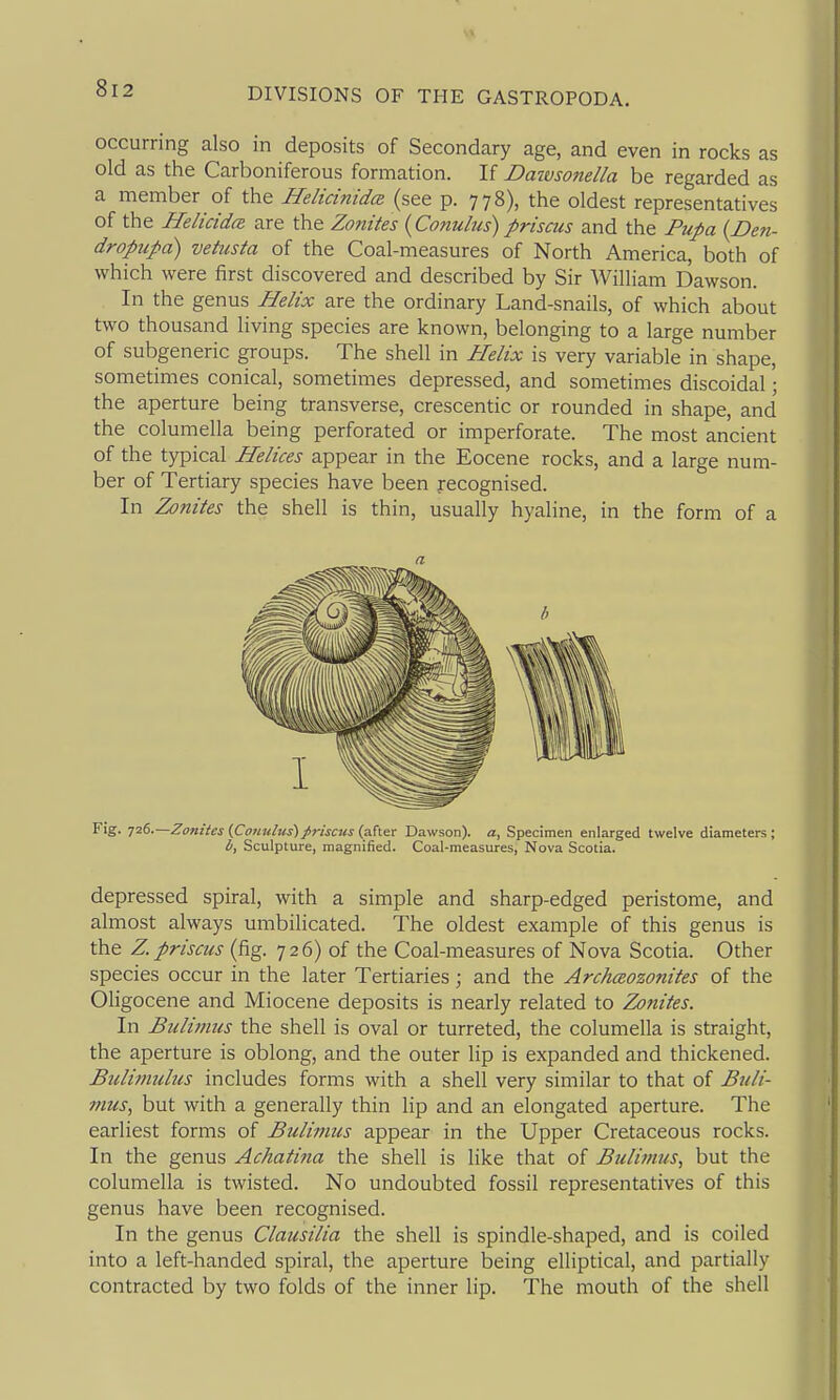 occurring also in deposits of Secondary age, and even in rocks as old as the Carboniferous formation. If Datvsonella be regarded as a member of the Helicinidce. (see p. 778), the oldest representatives of the Helicida are the Zonites {Conulus) priscus and the Fu^a (Den- dropupa) vetusta of the Coal-measures of North America, both of which were first discovered and described by Sir William Dawson. In the genus Helix are the ordinary Land-snails, of which about two thousand living species are known, belonging to a large number of subgeneric groups. The shell in Helix is very variable in shape, sometimes conical, sometimes depressed, and sometimes discoidal; the aperture being transverse, crescentic or rounded in shape, and the columella being perforated or imperforate. The most ancient of the typical Helices appear in the Eocene rocks, and a large num- ber of Tertiary species have been recognised. In Zonites the shell is thin, usually hyaline, in the form of a a Fig. T2(s.~Zonitcs(Conulus)J>riscus{2S\^x Dawson), a, Specimen enlarged twelve diameters; Sculpture, magnified. Coal-measures, Nova Scotia. depressed spiral, with a simple and sharp-edged peristome, and almost always umbilicated. The oldest example of this genus is the Z. prisms (fig. 726) of the Coal-measures of Nova Scotia. Other species occur in the later Tertiaries; and the Archceozonites of the Oligocene and Miocene deposits is nearly related to Zonites. In Bulimus the shell is oval or turreted, the columella is straight, the aperture is oblong, and the outer lip is expanded and thickened. Bulimuhis includes forms with a shell very similar to that of Buli- mus^ but with a generally thin lip and an elongated aperture. The earliest forms of Bulimus appear in the Upper Cretaceous rocks. In the genus Achatina the shell is like that of Bulimus, but the columella is twisted. No undoubted fossil representatives of this genus have been recognised. In the genus Clausilia the shell is spindle-shaped, and is coiled into a left-handed spiral, the aperture being elliptical, and partially contracted by two folds of the inner lip. The mouth of the shell
