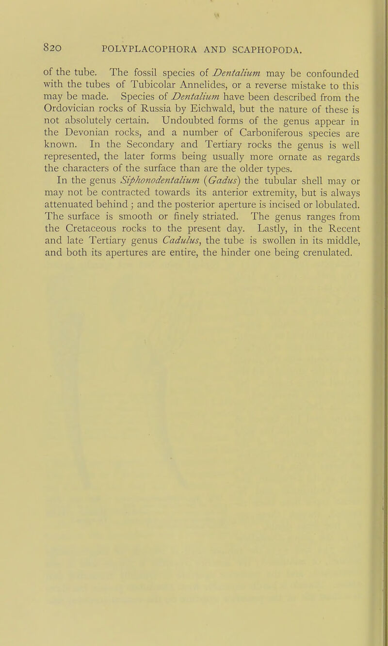 of the tube. The fossil species of Defitalmm may be confounded with the tubes of Tubicolar Annelides, or a reverse mistake to this may be made. Species of Dentalium have been described from the Ordovician rocks of Russia by Eichwald, but the nature of these is not absolutely certain. Undoubted forms of the genus appear in the Devonian rocks, and a number of Carboniferous species are known. In the Secondary and Tertiary rocks the genus is well represented, the later forms being usually more ornate as regards the characters of the surface than are the older types. In the genus Siphonodentalium {Gadus) the tubular shell may or may not be contracted towards its anterior extremity, but is always attenuated behind ; and the posterior aperture is incised or lobulated. The surface is smooth or finely striated. The genus ranges from the Cretaceous rocks to the present day. Lastly, in the Recent and late Tertiary genus Cadulus, the tube is swollen in its middle, and both its apertures are entire, the hinder one being crenulated.