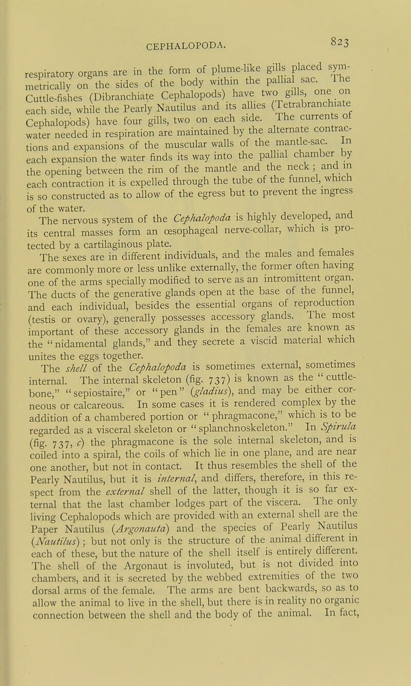 respiratory organs are in the form of plume-like gills placed sym- metrically on the sides of the body within the pallia sac. Ihe Cuttle-fishes (Dibranchiate Cephalopods) have two gills one on each side, while the Pearly Nautilus and its allies (Tetrabranchiate Cephalopods) have four gills, two on each side. The currents of water needed in respiration are maintained by the alternate contrac- tions and expansions of the muscular walls of the mantle-sac. In each expansion the water finds its way into the palhal chamber by the opening between the rim of the mantle and the neck; and in each contraction it is expelled through the tube of the funnel, which is so constructed as to allow of the egress but to prevent the mgress of the water. , . , , , , j j The nervous system of the Cephalopoda is highly developed, and its central masses form an oesophageal nerve-collar, which is pro- tected by a cartilaginous plate. The sexes are in different individuals, and the males and females are commonly more or less unlike externally, the former often having one of the arms specially modified to serve as an intromittent organ. The ducts of the generative glands open at the base of the funnel, and each individual, besides the essential organs of reproduction (testis or ovary), generally possesses accessory glands. The most important of these accessory glands in the females are known as the nidamental glands, and they secrete a viscid material which unites the eggs together. The shell of the Cephalopoda is sometimes external, sometimes internal. The internal skeleton (fig. 737) is known as the cuttle- bone, sepiostaire, or pen {gladius), and may be either cor- neous or calcareous. In some cases it is rendered complex by the addition of a chambered portion or phragmacone, which is to be regarded as a visceral skeleton or splanchnoskeleton. In Spirula (fig. 737, <r) the phragmacone is the sole internal skeleton, and is coiled into a spiral, the coils of which lie in one plane, and are near one another, but not in contact. It thus resembles the shell of the Pearly Nautilus, but it is internal, and differs, therefore, in this re- spect from the external shell of the latter, though it is so far ex- ternal that the last chamber lodges part of the viscera. The only living Cephalopods which are provided with an external shell are the Paper Nautilus {Argonauta) and the species of Pearly Nautilus {Nautilus); but not only is the structure of the animal different in each of these, but the nature of the shell itself is entirely different. The shell of the Argonaut is involuted, but is not divided into chambers, and it is secreted by the webbed extremities of the two dorsal arms of the female. The arms are bent backwards, so as to allow the animal to live in the shell, but there is in reality no organic connection between the shell and the body of the animal. In fact,