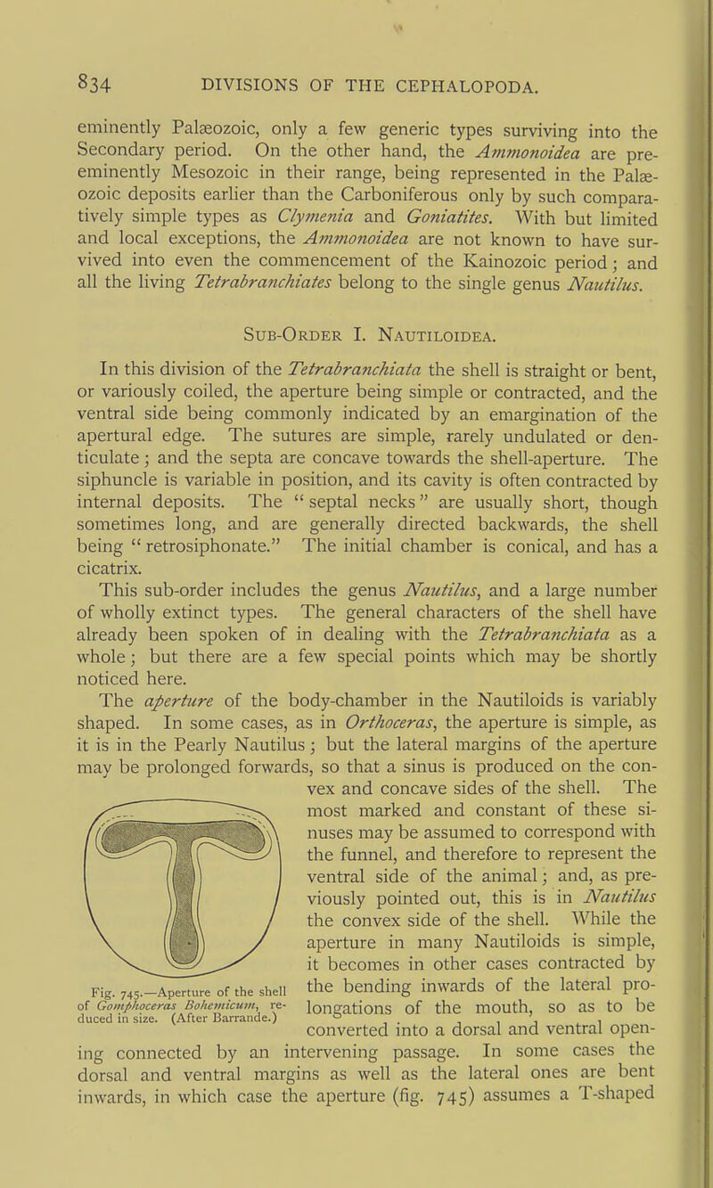 eminently Paleozoic, only a few generic types surviving into the Secondary period. On the other hand, the Ammonoidea are pre- eminently Mesozoic in their range, being represented in the Palse- ozoic deposits earlier than the Carboniferous only by such compara- tively simple types as Clymenia and Goniatites. With but limited and local exceptions, the A77imonoidea are not known to have sur- vived into even the commencement of the Kainozoic period; and all the living Tetrabranchiates belong to the single genus Nautilus. Sub-Order I. Nautiloidea. In this division of the Tetrabranchiata the shell is straight or bent, or variously coiled, the aperture being simple or contracted, and the ventral side being commonly indicated by an emargination of the apertural edge. The sutures are simple, rarely undulated or den- ticulate ; and the septa are concave towards the shell-aperture. The siphuncle is variable in position, and its cavity is often contracted by internal deposits. The  septal necks are usually short, though sometimes long, and are generally directed backwards, the shell being  retrosiphonate. The initial chamber is conical, and has a cicatrix. This sub-order includes the genus Nautilus, and a large number of wholly extinct types. The general characters of the shell have already been spoken of in dealing with the Tetrabranchiata as a whole; but there are a few special points which may be shortly noticed here. The aperture of the body-chamber in the Nautiloids is variably shaped. In some cases, as in Orthoceras, the aperture is simple, as it is in the Pearly Nautilus; but the lateral margins of the aperture may be prolonged forwards, so that a sinus is produced on the con- vex and concave sides of the shell. The most marked and constant of these si- nuses may be assumed to correspond with the funnel, and therefore to represent the ventral side of the animal; and, as pre- viously pointed out, this is in Nautilus the convex side of the shell. While the aperture in many Nautiloids is simple, it becomes in other cases contracted by the bending inwards of the lateral pro- longations of the mouth, so as to be converted into a dorsal and ventral open- ing connected by an intervening passage. In some cases the dorsal and ventral margins as well as the lateral ones are bent inwards, in which case the aperture (fig. 745) assumes a T-shaped Fig. 745.—Aperture of the shell of Gomphoceras Bolicmicum, re- duced in size. (After Barraiide.)