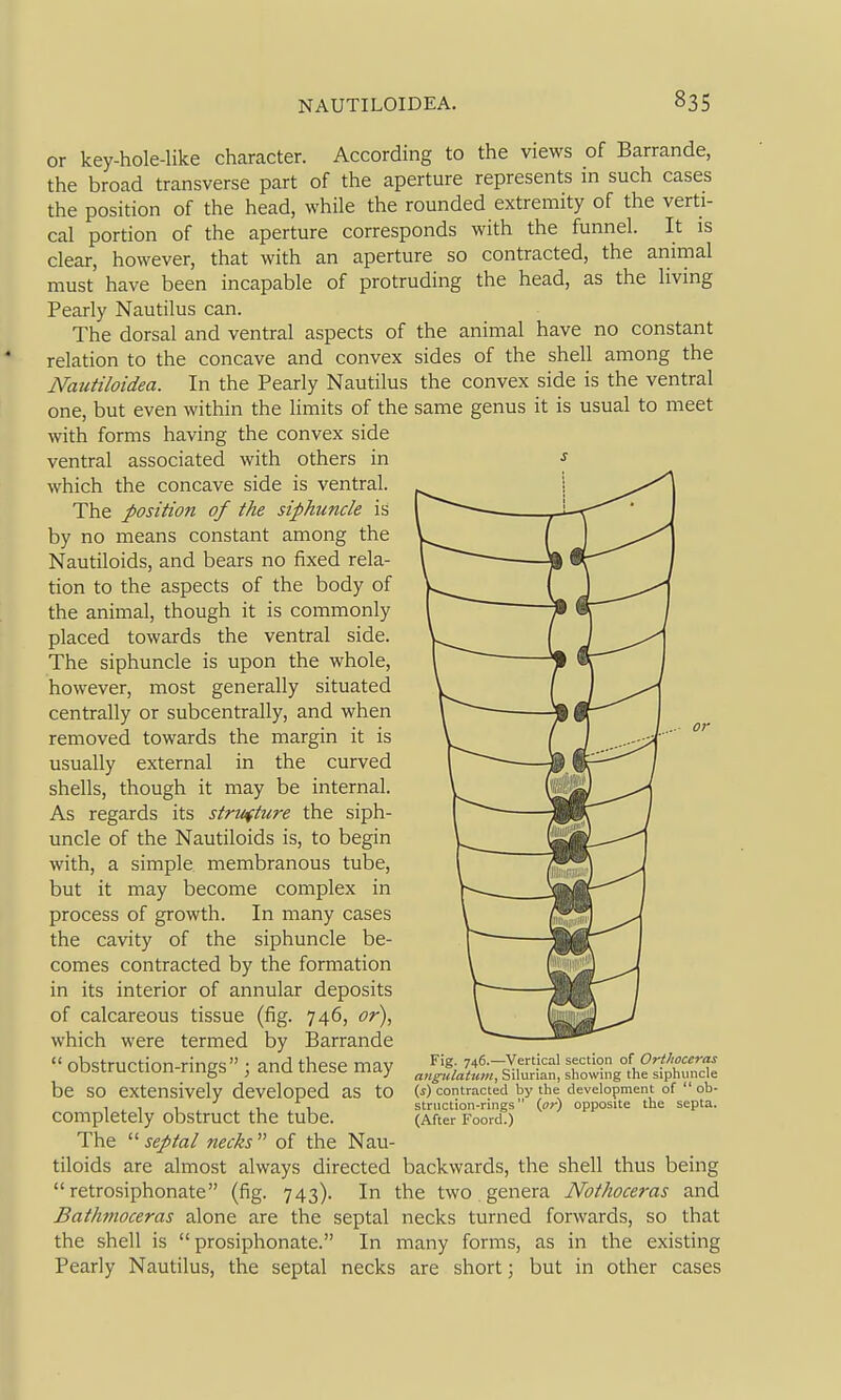 or key-hole-like character. According to the views of Barrande, the broad transverse part of the aperture represents in such cases the position of the head, while the rounded extremity of the verti- cal portion of the aperture corresponds with the funnel. It is clear, however, that with an aperture so contracted, the animal must have been incapable of protruding the head, as the living Pearly Nautilus can. The dorsal and ventral aspects of the animal have no constant relation to the concave and convex sides of the shell among the Nautiloidea. In the Pearly Nautilus the convex side is the ventral one, but even within the limits of the same genus it is usual to meet with forms having the convex side ventral associated with others in which the concave side is ventral. The position of the siphuncle is by no means constant among the Nautiloids, and bears no fixed rela- tion to the aspects of the body of the animal, though it is commonly placed towards the ventral side. The siphuncle is upon the whole, however, most generally situated centrally or subcentrally, and when removed towards the margin it is usually external in the curved shells, though it may be internal. As regards its structure the siph- uncle of the Nautiloids is, to begin with, a simple, membranous tube, but it may become complex in process of growth. In many cases the cavity of the siphuncle be- comes contracted by the formation in its interior of annular deposits of calcareous tissue (fig. 746, or), which were termed by Barrande  nVicfriK-firvn rinrrc • inrl fVif^cf^ mnif F'g- 746.—Vertical section of Orthoccras oDstruction-rings , ana tnese may „„^f;X«, siim-ian, showing the siphimcie be so extensively developed as to W contracted by the development of  ob- , ^ , 1 , , ,1 ,1 stniction-rings (or) opposite the septa. completely obstruct the tube. (After Foord.) The  septal necks  of the Nau- tiloids are almost always directed backwards, the shell thus being  retrosiphonate (fig. 743). In the two genera Nothoceras and Bathmoceras alone are the septal necks turned forwards, so that the shell is  prosiphonate. In many forms, as in the existing Pearly Nautilus, the septal necks are short; but in other cases
