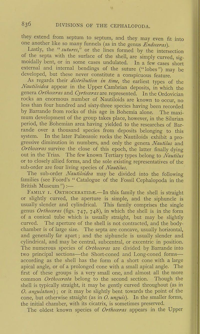 they extend from septum to septum, and they may even fit into one another Hke so many funnels (as in the genus Endoceras). Lastly, the ''sutures, or the lines formed by the intersection of the septa with the surface of the shell, are simply curved, sig- moidally bent, or in some cases undulated. In a few cases short external and internal bendings of the suture (lobes) may be developed, but these never constitute a conspicuous feature. As regards their disiribution in time, the earliest types of the Nautiloidea appear in the Upper Cambrian deposits, in which the genera Orthoceras and Cyrtoceras are represented. In the Ordovician rocks an enormous number of Nautiloids are known to occur, no less than four hundred and sixty-three species having been recorded by Barrande from rocks of this age in Bohemia alone. The maxi- mum development of the group takes place, however, in the Silurian period, the Bohemian area having yielded to the researches of Bar- rande over a thousand species from deposits belonging to this system. In the later Palseozoic rocks the Nautiloids exhibit a pro- gressive diminution in numbers, and only the genera Nautilus and Orthoceras survive the close of this epoch, the latter finally dying out in the Trias. The few known Tertiary types belong to Nautilus or to closely allied forms, and the sole existing representatives of the sub-order are four living species of Nautilus. The sub-order Nautiloidea may be divided into the following families (see Foord's Catalogue of the Fossil Cephalopoda in the British Museum ):— Family i. Orthoceratid^.—In this family the shell is straight or slightly curved, the aperture is simple, and the siphuncle is usually slender and cylindrical. This family comprises the single genus Orthoceras (figs. 747, 748), in which the shell is in the form of a conical tube which is usually straight, but may be slightly curved. The aperture of the shell is not contracted, and the body- chamber is of large size. The septa are concave, usually horizontal, and generally far apart; and the siphuncle is usually slender and cylindrical, and may be central, subcentral, or excentric in position. The numerous species of Orthoceras are divided by Barrande into two principal sections—the Short-coned and Long-coned forms— according as the shell has the form of a short cone with a large apical angle, or of a prolonged cone with a small apical angle. The first of these groups is a very small one, and almost all the more common Orthocerata belong to the second section. Though the shell is tjrpically straight, it may be gently curved throughout (as in O. angulaiufii); or it may be slightly bent towards the point of the cone, but otherwise straight (as in O. U7iguis). In the smaller forms, the initial chamber, with its cicatrix, is sometimes preserved. The oldest known species of Orthoceras appears in the Upper