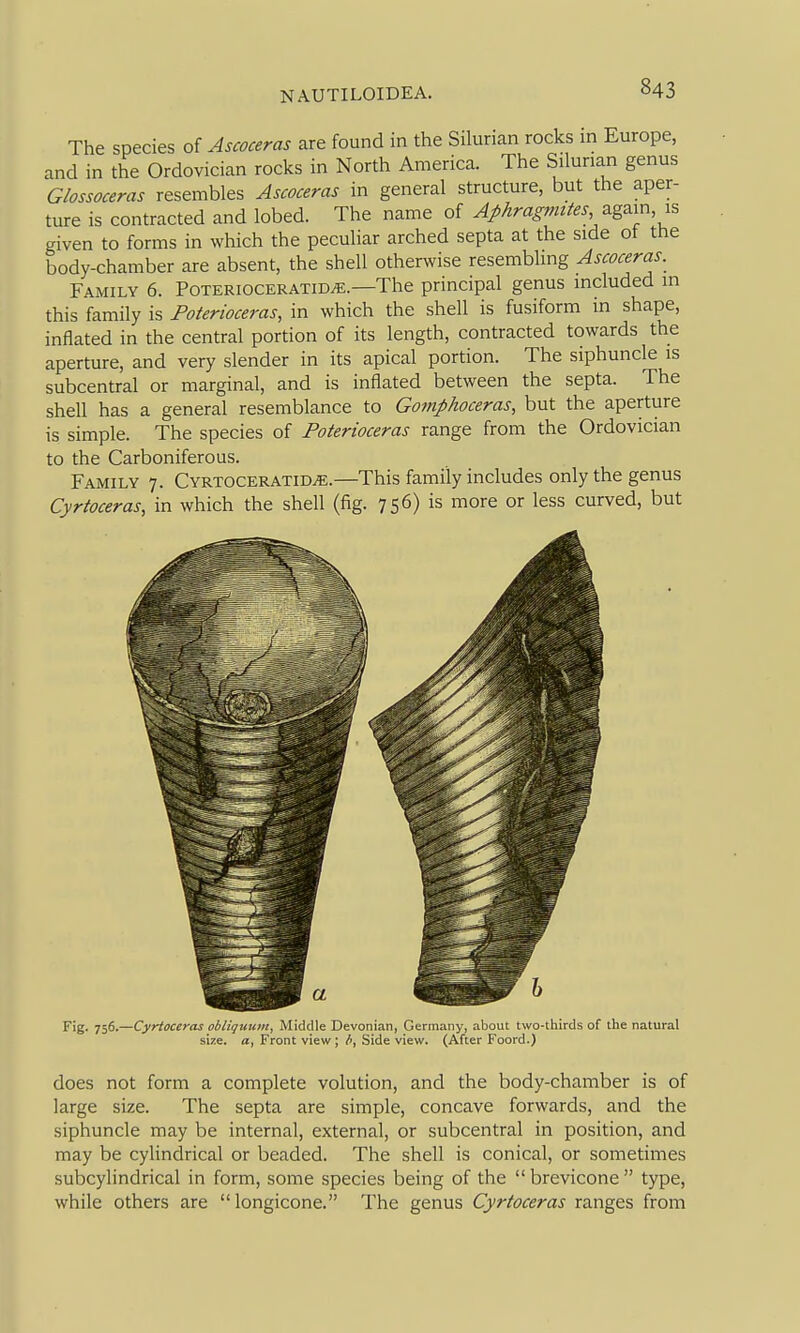 The species of Ascoceras are found in the Silurian rocks in Europe, and in the Ordovician rocks in North America. The Silurian genus G/ossoceras resembles Ascoceras in general structure, but the aper- ture is contracted and lobed. The name of Ap/iragmt^es,^g^m,is given to forms in which the peculiar arched septa at the side ot the body-chamber are absent, the shell otherwise resembling Ascoceras. Family 6. Poterioceratid^.—The principal genus included in this family is Poterioceras, in which the shell is fusiform in shape, inflated in the central portion of its length, contracted towards the aperture, and very slender in its apical portion. The siphuncle is subcentral or marginal, and is inflated between the septa. The shell has a general resemblance to Gomphoceras, but the aperture is simple. The species of Poterioceras range from the Ordovician to the Carboniferous. Family 7. CYRTOCERAXiDiE.—This family includes only the genus Cyrtoceras, in which the shell (fig. 7 5 6) is more or less curved, but does not form a complete volution, and the body-chamber is of large size. The septa are simple, concave forwards, and the siphuncle may be internal, external, or subcentral in position, and may be cylindrical or beaded. The shell is conical, or sometimes subcylindrical in form, some species being of the  brevicone  type, while others are longicone. The genus Cyrtoceras ranges from