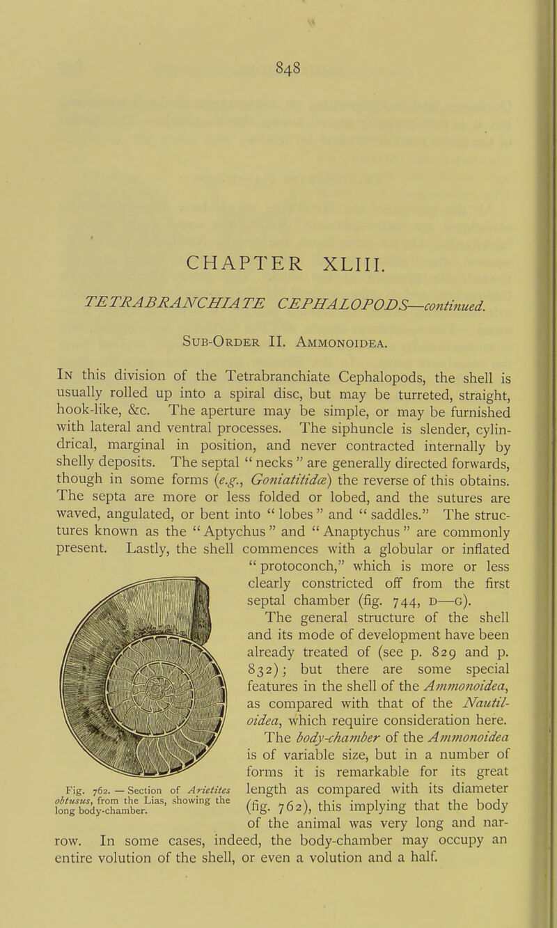 CHAPTER XLIII. TETRABRANCHIATE CEPHALOPODS—contijiued. Sub-Order II. Ammonoidea. In this division of the Tetrabranchiate Cephalopods, the shell is usually rolled up into a spiral disc, but may be turreted, straight, hook-like, &c. The aperture may be simple, or may be furnished with lateral and ventral processes. The siphuncle is slender, cylin- drical, marginal in position, and never contracted internally by shelly deposits. The septal  necks  are generally directed forwards, though in some forms \e.g., Goniatitidce) the reverse of this obtains. The septa are more or less folded or lobed, and the sutures are waved, angulated, or bent into  lobes  and  saddles. The struc- tures known as the  Aptychus  and  Anaptychus  are commonly present. Lastly, the shell commences with a globular or inflated  protoconch, which is more or less clearly constricted off from the first septal chamber (fig. 744, d—g). The general structure of the shell and its mode of development have been already treated of (see p. 829 and p. 832); but there are some special features in the shell of the Ammonoidea, as compared with that of the Nautil- oidea, which require consideration here. The body-chamber of the Atnmonoidea is of variable size, but in a number of forms it is remarkable for its great length as compared with its diameter (fig. 762), this implying that the body of the animal was very long and nar- row. In some cases, indeed, the body-chamber may occupy an entire volution of the shell, or even a volution and a half Fig. 762.—Section of Arictites obtusus, from the Lias, showing the long body-chamber.