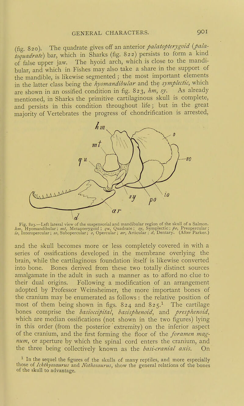 (fig. 820). The quadrate gives ofT an anterior palatopterygoid {pala- toquadrate) bar, which in Sharks (fig. 822) persists to form a kind of false upper jaw. The hyoid arch, which is close to the mandi- bular, and which in Fishes may also take a share in the support of the mandible, is likewise segmented; the most important elements in the latter class being the hyomatidibular and the sympledic, which are shown in an ossified condition in fig. 823, hm, sy. As aheady mentioned, in Sharks the primitive cartilaginous skull is complete, and persists in this condition throughout life; but in the great majority of Vertebrates the progress of chondrification is arrested, Fig. 823.—Left lateral view of the suspensorial and mandibular region of the skull of a Salmon. hm, Hyomandibular; mt, Metapterygoid ; qu. Quadrate ; sy, Symplectic ; po, Preopercular ; io, Interopercular; so, Subopercular; o, Opercular; ar. Articular ; d, Dentary. (After Parker.) and the skull becomes more or less completely covered in with a series of ossifications developed in the membrane overlying the brain, while the cartilaginous foundation itself is likewise converted into bone. Bones derived from these two totally distinct sources amalgamate in the adult in such a manner as to afford no clue to their dual origins. Following a modification of an arrangement adopted by Professor Weinsheimer, the more important bones of the cranium may be enumerated as follows : the relative position of most of them being shown in figs. 824 and 825.^ The cartilage bones comprise the basioccipiial, basispketiotd, and presphenoid, which are median ossifications (not shown in the two figures) lying in this order (from the posterior extremity) on the inferior aspect of the cranium, and the first forming the floor of the foramen mag- mmi, or aperture by which the spinal cord enters the cranium, and the three being collectively known as the basi-cranial axis. On ^ In the sequel the figures of the skulls of many reptiles, and more especially those of Ickthyosaurtis and Nothosauriis, show the general relations of the bones of the skull to advantage.