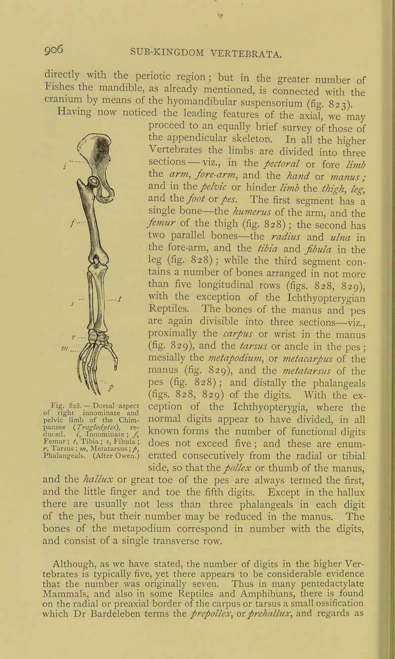 go6 directly with the periotic region; but in the greater number of i-ishes the mandible, as already mentioned, is connected with the cranium by means of the hyomandibular suspensorium (fig. 823) Having now noticed the leading features of the axial, we may proceed to an equally brief survey of those of the appendicular skeleton. In all the higher Vertebrates the limbs are divided into three sections — viz., in the pectoral or fore limb the arm, fore-arm, and the ha7id or manus; and in the pelvic or hinder limb the thigh, leg, and \htfoot or pes. The first segment has a single bone—the hicmertcs of the arm, and the /■• II femur of the thigh (fig. 828); the second has two parallel bones—the radius and ulna in the fore-arm, and the tibia and fibula in the leg (fig. 828); while the third segment con- tains a number of bones arranged in not more than five longitudinal rows (figs. 828, 829), with the exception of the Ichthyopterygian Reptiles. The bones of the manus and pes are again divisible into three sections—viz., proximally the carp7is or wrist in the manus (fig. 829), and the tarsus or ancle in the pes; mesially the metapodium, or metacarpus of the manus (fig. 829), and the metatarsus of the pes (fig. 828); and distally the phalangeals (figs. 828, 829) of the digits. With the ex- ception of the Ichthyopterygia, where the normal digits appear to have divided, in all known forms the number of functional digits does not exceed five; and these are enum- 'P Fi^. 82S. — Dorsal aspect of right innominate and pelvic limb of the Chim- panzee (Troglodytes), re- duced, i. Innominate ; /, Femur; t, Tibia ; s, Fibula ; r, Tarsus ; m, Metatarsus; /, ' Phalangeals. (After Owen.) cratcd consccutivcly from the radial or tibial side, so that the pollex or thumb of the manus, and the hallux or great toe of the pes are always termed the first, and the little finger and toe the fifth digits. Except in the hallux there are usually not less than three phalangeals in each digit of the pes, but their number may be reduced in the manus. The bones of the metapodium correspond in number with the digits, and consist of a single transverse row. Although, as we have stated, the number of digits in the higher Ver- tebrates is typically five, yet there appears to be considerable evidence that the number was originally seven. Thus in many pentedactylate Mammals, and also in some Reptiles and Amphibians, there is found on the radial or preaxial border of the carpus or tarsus a small ossification which Dr Bardeleben terms the prepollex, oxprehallux, and regards as
