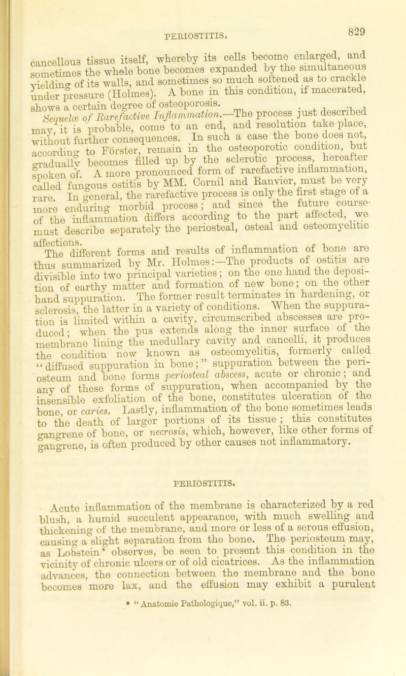 cancellous tissue itself, whereby its cells become enlarged, and sometimes the whole bone becomes expanded by the simultaneous vieldhm of its walls, and sometimes so much softened as to crackle under pressure (Holmes). A bone m this condition, if macerated, shows a certain degree of osteoporosis. Seouelce of Rarefadive Inflammation -The process just described may it is probable, come to an end, and resolution take place, without further consequences. In such a case the bone does not, according to Forster, remain in the osteoporotic condition, but o-raduallv becomes filled up by the sclerotic process hereafter snoken of A more pronounced form of rarefactive inflammation, called fungous ostitis by MM. Cornil and Eanvier, must be very rare In General, the rarefactive process is only the first stage of a more enduring morbid process; and since the future course- of the inflammation differs according to the part affected, we must describe separately the periosteal, osteal and osteomyelitic afThe°different forms and results of inflammation of bone are thus summarized by Mr. Holmes:—The products of ostitis are divisible into two principal varieties; on the one hand the deposi- tion of earthy matter and formation of new bone; on the other hand suppuration. The former result terminates m hardening, or sclerosis the latter in a variety of conditions. When the suppura- tion is limited within a cavity, circumscribed abscesses are pro- duced- when the pus extends along the inner surface of the membrane lining the medullary cavity and cancelli, it produces the condition now known as osteomyelitis, formerly called “diffused suppuration in bone;” suppuration between the peri- osteum and bone forms periosteal abscess, acute or chronic; and any of these forms of suppuration, when accompanied by the insensible exfoliation of the bone, constitutes ulceration of the bone or caries. Lastly, inflammation of the bone sometimes leads to the death of larger portions of its tissue ; this constitutes gangrene of bone, or necrosis, which, however, like other forms of gangrene, is often produced by other causes not inflammatory. PERIOSTITIS. Acute inflammation of the membrane is characterized by a red blush, a humid succulent appearance, with much swelling and thickening of the membrane, and more or less of a serous effusion, causing a°slight separation from the bone. The periosteum may, as Lobstem* observes, be seen to present this condition in the vicinity of chronic ulcers or of old cicatrices. As the inflammation advances, the connection between the membrane and the bone becomes more lax, and the effusion may exhibit a purulent * “ Anatomie Pathologique,” vol. ii. p. 83.