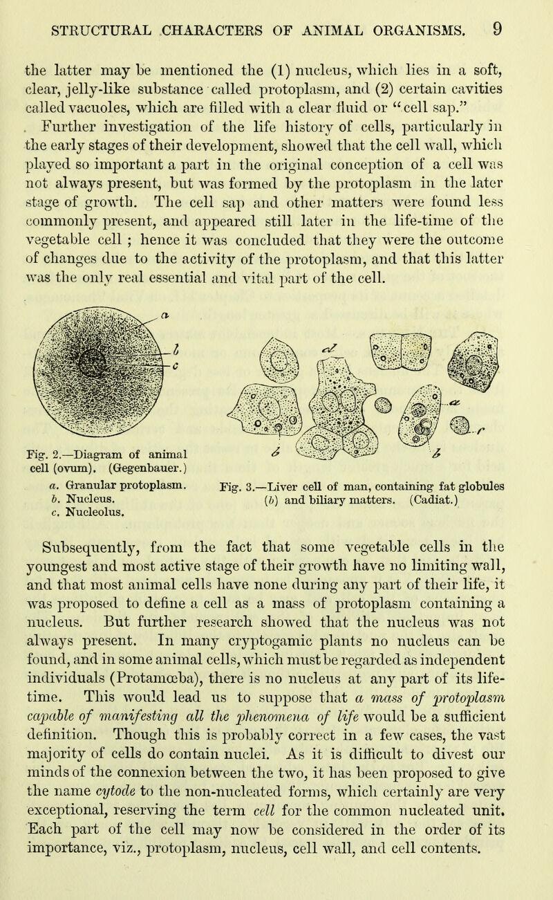 the latter may be mentioned the (1) nucleus, which lies in a soft, clear, jelly-like substance called protoplasm, and (2) certain cavities called vacuoles, which are filled with a clear fluid or cell sap. Further investigation of the life history of cells, particularly in the early stages of their development, showed that the cell wall, which played so important a part in the original conception of a cell Wcis not always present, but was formed by the protoplasm in the later stage of growth. The cell sap and other matters were found less commonly present, and appeared still later in the life-time of the vegetable cell ; hence it was concluded that they were the outcome of changes due to the activity of the protoplasm, and that this latter was the only real essential and vital part of the cell. cell (ovum). (Gegenbauer.) a. Granular protoplasm. pig. 3.—Liver cell of man, containing fat globules b. Nucleus. {h) and biliary matters. (Cadiat.) c. Nucleolus. Subsequently, from the fact that some vegetable cells in the youngest and most active stage of their growth have no limiting wall, and that most animal cells have none during any part of their life, it was proposed to define a cell as a mass of protoplasm containing a nucleus. But further research showed that the nucleus was not always present. In many cryptogamic plants no nucleus can be found, and in some animal cells, which must be regarded as independent individuals (Protanioeba), there is no nucleus at any part of its life- time. This would lead us to suppose that a mass of protoplasm capable of manifesting all the phenomena of life would be a sufficient definition. Though this is probably correct in a few cases, the vast majority of cells do contain nuclei. As it is difiicult to divest our minds of the connexion between the two, it has been proposed to give the name cytode to the non-nucleated forms, which certainly are very exceptional, reserving the term cell for the common nucleated unit. Each part of the cell may now be considered in the order of its importance, viz., protoplasm, nucleus, cell wall, and cell contents.