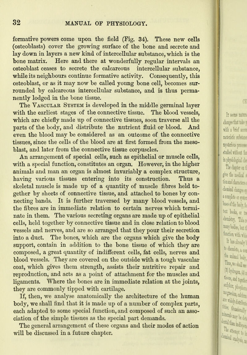 formative powers come upon the field (Fig. 34). These new cells (osteoblasts) cover the growing surface of the bone and secrete and lay down in layers a new kind of intercellular substance, which is the bone matrix. Here and there at wonderfully regular intervals an osteoblast ceases to secrete the calcareous intercellular substance, while its neighbours continue formative activity. Consequently, this osteoblast, or as it may now be called young bone cell, becomes sur- rounded by calcareous intercellular substance, and is thus perma- nently lodged in the bone tissue. The Vascular System is developed in the middle germinal layer with the earliest stages of the connective tissue. The blood vessels, which are chiefly made up of connective tissues, soon traverse all the parts of the body, and distribute the nutrient fluid or blood. And even the blood may be considered as an outcome of the connective tissues, since the cells of the blood are at first formed from the meso- blast, and later from the connective tissue corpuscles. An arrangement of special cells, such as epithelial or muscle cells, with a special function, constitutes an organ. However, in the higher animals and man an organ is almost invariably a complex structure, having various tissues entering into its construction. Thus a skeletal muscle is made up of a quantity of muscle fibres held to- gether by sheets of connective tissue, and attached to bones by con- necting bands. It is further traversed by many blood vessels, and the fibres are in immediate relation to certain nerves which termi- nate in them. The various secreting organs are made up of epithelial cells, held together by connective tissue and in close relation to blood vessels and nerves, and are so arranged that they pour their secretion into a duct. The bones, which are the organs which give the body support, contain in addition to the bone tissue of which they are composed, a great quantity of indifferent cells, fat cells, nerves and blood vessels. They are covered on the outside with a tough vascular coat, which gives them strength, assists their nutritive repair and reproduction, and acts as a point of attachment for the muscles and ligaments. Where the bones are in immediate relation at the joints, they are commonly tipped with cartilage. If, then, we analyse anatomically the architecture of the human body, we shall find that it is made up of a number of complex parts, each adapted to some special function, and composed of such an asso- ciation of the simple tissues as the special part demands. The general arrangement of these organs and their modes of action will be discussed in a future chapter.