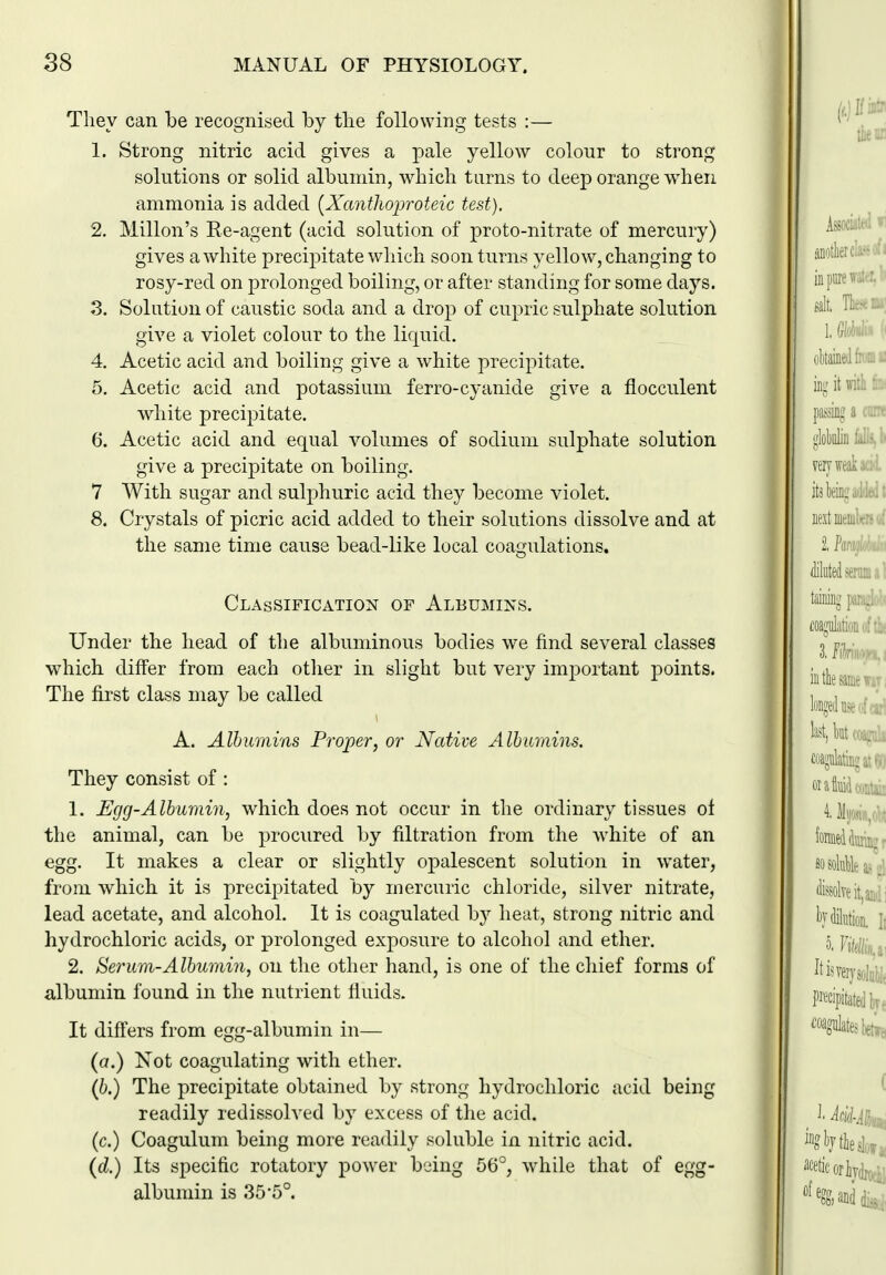 Tliey can be recognised by tlie following tests :— 1. Strong nitric acid gives a pale yellow colour to strong solutions or solid albumin, which turns to deep orange when ammonia is added [Xantlioproteic test). 2. Millon's Re-agent (acid solution of proto-nitrate of mercury) gives a white precipitate which soon turns yellow, changing to rosy-red on prolonged boiling, or after standing for some days. 3. Solution of caustic soda and a drop of cupric sulphate solution give a violet colour to the liquid. 4. Acetic acid and boiling give a white precipitate. 5. Acetic acid and potassium ferro-cyanide give a flocculent white precipitate. 6. Acetic acid and equal volumes of sodium sulphate solution give a precipitate on boiling. 7 With sugar and sulphuric acid they become violet. 8. Crystals of picric acid added to their solutions dissolve and at the same time cause bead-like local coagulations. Classification of Albumins. Under the head of the albuminous bodies we find several classes which differ from each otlier in slight but very important points. The first class may be called A. Albumins Proper, or Native Alhmiins. They consist of : 1. Erjg-Alhuniin, which does not occur in the ordinary tissues oi the animal, can be procured by filtration from the white of an egg. It makes a clear or slightly opalescent solution in water, from which it is precipitated by mercuric chloride, silver nitrate, lead acetate, and alcohol. It is coagulated by heat, strong nitric and hydrochloric acids, or prolonged exposure to alcohol and ether. 2. Se7'um-Albumin, on tlie other hand, is one of the chief forms of albumin found in the nutrient fluids. It difi'ers from egg-albumin in— (a.) Not coagulating with ether. (6.) The precipitate obtained by strong hydrochloric acid being readily redissolved by excess of the acid. (c.) Coagulum being more readily soluble in nitric acid. (d.) Its specific rotatory power being 56°, while that of egg- albumin is 35'5°.