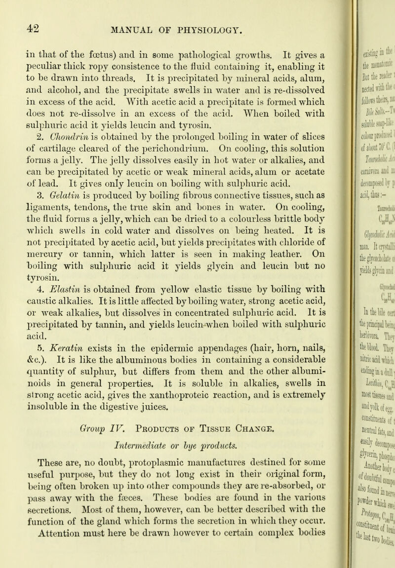 in that of tlie foetus) and in some pathological growths. It gives a peculiar thick ropy consistence to the fluid containing it, enabling it to be drawn into threads. It is precipitated by mineral acids, alum, and alcohol, and the jDrecipitate swells in water and is re-dissolved in excess of the acid. With acetic acid a precipitate is formed which does not re-dissolve in an excess of the acid. When boiled with sulphuric acid it yields leucin and tyrosiii. 2. Ghondrin is obtained by the prolonged boiling in water of slices of cartilage cleared of the jDerichondrium. On cooling, this solution forms a jelly. Tlie jelly dissolves easily in hot water or alkalies, and can be precipitated by acetic or weak mineral acids, alum or acetate of lead. It gives only leucin on boiling with sulphuric acid. 3. Gelatin is produced by boiling fibrous connective tissues, such as ligaments, tendons, the true skin and bones in w^ater. On cooling, the fluid forms a jelly, w^hich can be dried to a colourless brittle body wliich swells in cold water and dissolves on being heated. It is not precipitated by acetic acid, but yields precipitates witli cldoride of mercury or tannin, which latter is seen in making leather. On boiling with sulphuric acid it yields glycin and leucin but no tyrosin. 4. Elastin is obtained from yellow elastic tissue by boiling with caustic alkalies. It is little afi'ected by boiling water, strong acetic acid, or weak alkalies, but dissolves in concentrated sulphuric acid. It is precipitated by tannin, and yields leucin-when boiled with sulphuric acid. 5. Keratin exists in the epidermic appendages (hair, horn, nails, &c.). It is like the albuminous bodies in containing a considerable quantity of sulphur, but difters from them and the other albumi- noids in general properties. It is soluble in alkalies, swells in strong acetic acid, gives the xanthoproteic reaction, and is extremely insoluble in the digestive juices. Growp IV. Products of Tissue Change. Intermediate or hye products. These are, no doubt, protoplasmic manufactures destined for some useful purpose, but they do not long exist in their original form, being often broken up into other compounds they are re-absorbed, or pass away with the faeces. These bodies are found in the various secretions. Most of them, however, can be better described with the function of the gland which forms the secretion in which they occur. Attention must here be drawn however to certain complex bodies