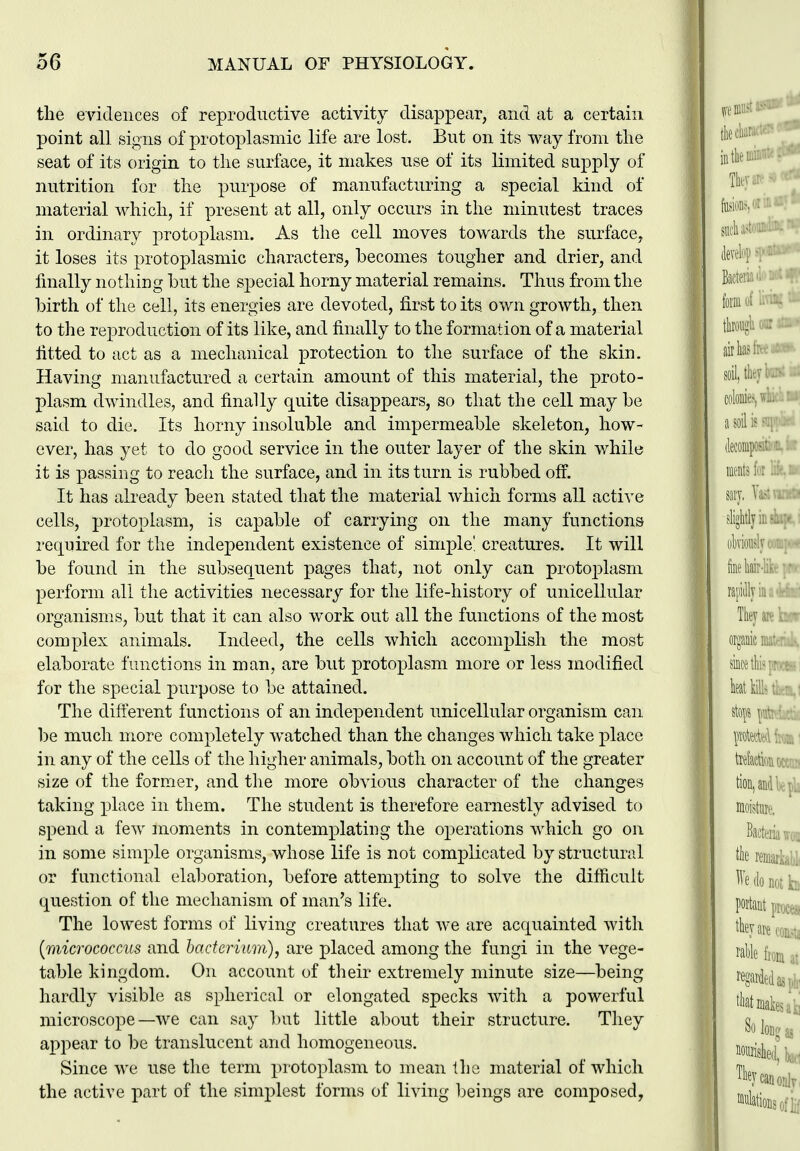 the evidences of reproductive activity disappear, and at a certain point all signs of protoplasmic life are lost. But on its way from tlie seat of its origin to the surface, it makes use of its limited supply of nutrition for the purpose of manufacturing a special kind of material which, if present at all, only occurs in the minutest traces in ordinary protoplasm. As the cell moves towards the surface, it loses its protoplasmic characters, becomes tougher and drier, and finally nothing but the s^Dccial horny material remains. Thus from the birth of the cell, its energies are devoted, first to its own growth, then to the reproduction of its like, and finally to the formation of a material fitted to act as a mechanical protection to the surface of the skin. Having manufactured a certain amount of this material, the proto- plasm dwindles, and finally quite disappears, so that the cell may be said to die. Its horny insoluble and impermeable skeleton, how- ever, has yet to do good service in the outer layer of the skin while it is passing to reach the surface, and in its turn is rubbed off. It has already been stated that the material which forms all active cells, protoplasm, is capable of carrying on the many functions required for the independent existence of simple', creatures. It will be found in the subsequent pages that, not only can protoplasm perform all the activities necessary for the life-history of unicellular organisms, but that it can also work out all the functions of the most complex animals. Indeed, the cells which accomplish the most elaborate functions in man, are but protoplasm more or less modified for the special purpose to be attained. The different functions of an independent unicellular organism can l)e much more completely watched than the changes which take place in any of the cells of the higher animals, both on account of the greater size of the former, and the more obvious character of the changes taking place in them. The student is therefore earnestly advised to spend a few moments in contemplating the operations which go on in some simple organisms, whose life is not complicated by structural or functional elaboration, before attempting to solve the difficult question of the mechanism of man's life. The lowest forms of living creatures that we are acquainted with [micrococcus and bacterium), are placed among the fungi in the vege- table kingdom. On account of their extremely minute size—being hardly visible as spherical or elongated specks with a powerful microscope—we can say but little about their structure. They appear to be translucent and homogeneous. Since we use the term protoplasm to mean the material of which the active part of the simplest forms of living beings are composed.