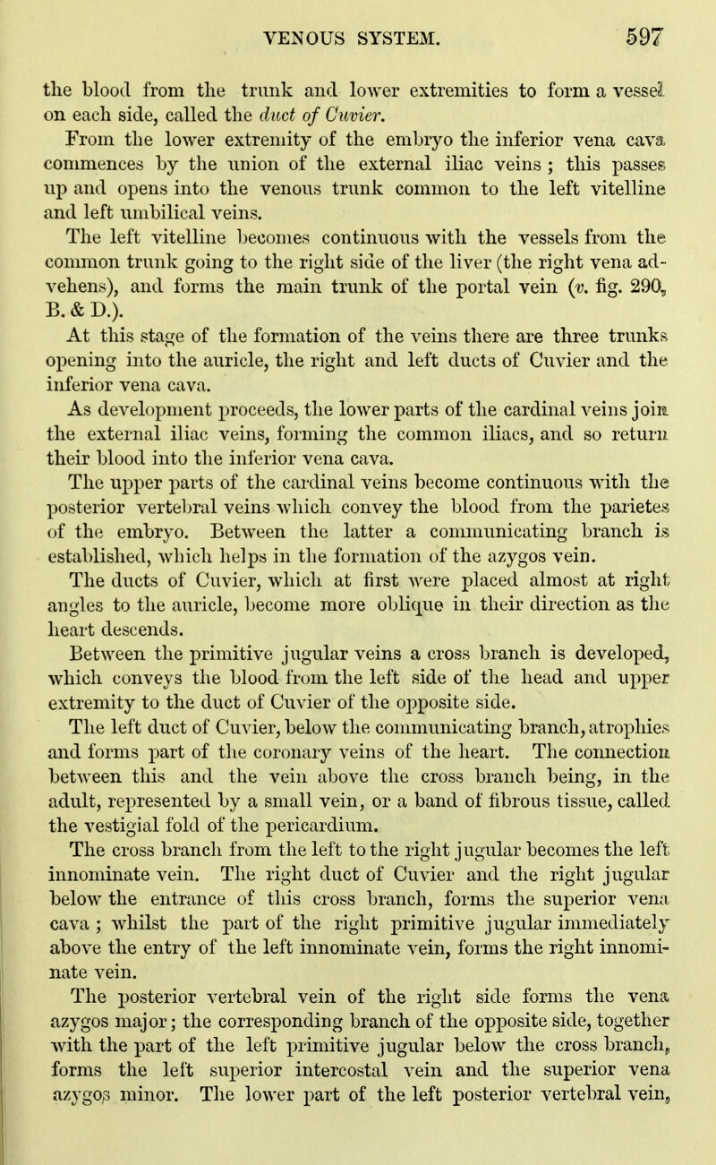 the blood from the trunk and lower extremities to form a vessel on each side, called the duct of Cuvier. From the lower extremity of the embryo the inferior vena cava commences by the union of the external iliac veins ; this passes up and opens into the venous trunk common to the left vitelline and left umbilical veins. The left vitelline becomes continuous with the vessels from the common trunk going to the right side of the liver (the right vena ad- vehens), and forms the main trunk of the portal vein {v. fig. 290, B. & D.). At this stage of the formation of the veins there are three trunks opening into the auricle, the right and left ducts of Cuvier and the inferior vena cava. As development proceeds, the lower parts of the cardinal veins joiis. the external iliac veins, forming the common iliacs, and so return their blood into the inferior vena cava. The upper parts of the cardinal veins become continuous with the posterior verteljral veins which convey the blood from the parietes of the embryo. BetAveen the latter a communicating branch is established, which helps in the formation of the azygos vein. The ducts of Cuvier, which at first were placed almost at right angles to the auricle, become more oblique in their direction as the heart descends. Between the primitive jugular veins a cross branch is developed, which conveys the blood from the left side of the head and upper extremity to the duct of Cuvier of the opposite side. The left duct of Cuvier, below the communicating branch, atrophic?; and forms part of the coronary veins of the heart. The connection between this and the vein above the cross branch being, in the adult, represented by a small vein, or a band of fibrous tissue, called the vestigial fold of the pericardium. The cross branch from the left to the right j ugular becomes the left innominate vein. The right duct of Cuvier and the right jugular below the entrance of this cross branch, forms the superior venu, cava ; whilst the part of the right primitive jugular immediately above the entry of the left innominate vein, forms the right innomi- nate vein. The posterior vertebral vein of the right side forms the vena azygos major; the corresponding branch of the opposite side, together with the part of the left primitive jugular below the cross branchy forms the left superior intercostal vein and the superior vena azygos minor. The lower part of the left posterior vertebral vein,