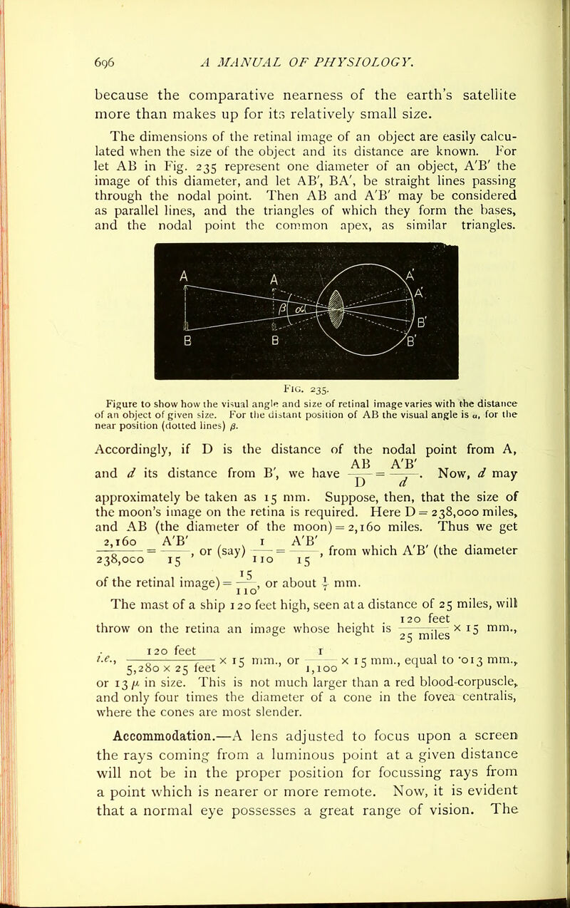 because the comparative nearness of the earth’s satellite more than makes up for its relatively small size. The dimensions of the retinal image of an object are easily calcu- lated when the size of the object and its distance are known. For let AB in Fig. 235 represent one diameter of an object, A'B' the image of this diameter, and let AB', BA', be straight lines passing through the nodal point. Then AB and A'B' may be considered as parallel lines, and the triangles of which they form the bases, and the nodal point the common apex, as similar triangles. Fig. 235. Figure to show how the visual angle and size of retinal image varies with the distance of an object of given size. For the distant position of AB the visual angle is u, for the near position (dotted lines) p. Accordingly, if D is the distance of the nodal point from A, AB A'B' and d its distance from B', we have ———. Now, d may approximately be taken as 15 mm. Suppose, then, that the size of the moon’s image on the retina is required. Here D = 238,000 miles, and AB (the diameter of the moon) = 2,160 miles. Thus we get 2,160 A'B' . 1 A'B' ,. , or (say) = , from which AB (the diameter 238,000 15 i5 of the retinal image) = — , or about 1 mm. The mast of a ship 120 feet high, seen at a distance of 25 miles, will 120 feet throw on the retina an image whose height is 2g mq~ x x5 mm-> 120 feet 1 , f-A, 7—x 1=; mm., or x iq mm., equal to 013 mm., 5,280x25 feet J ’ 1,100 J ^ or 13 /x in size. This is not much larger than a red blood-corpuscle, and only four times the diameter of a cone in the fovea centralis, where the cones are most slender. Accommodation.—A lens adjusted to focus upon a screen the rays coming from a luminous point at a given distance will not be in the proper position for focussing rays from a point which is nearer or more remote. Now, it is evident that a normal eye possesses a great range of vision. T he